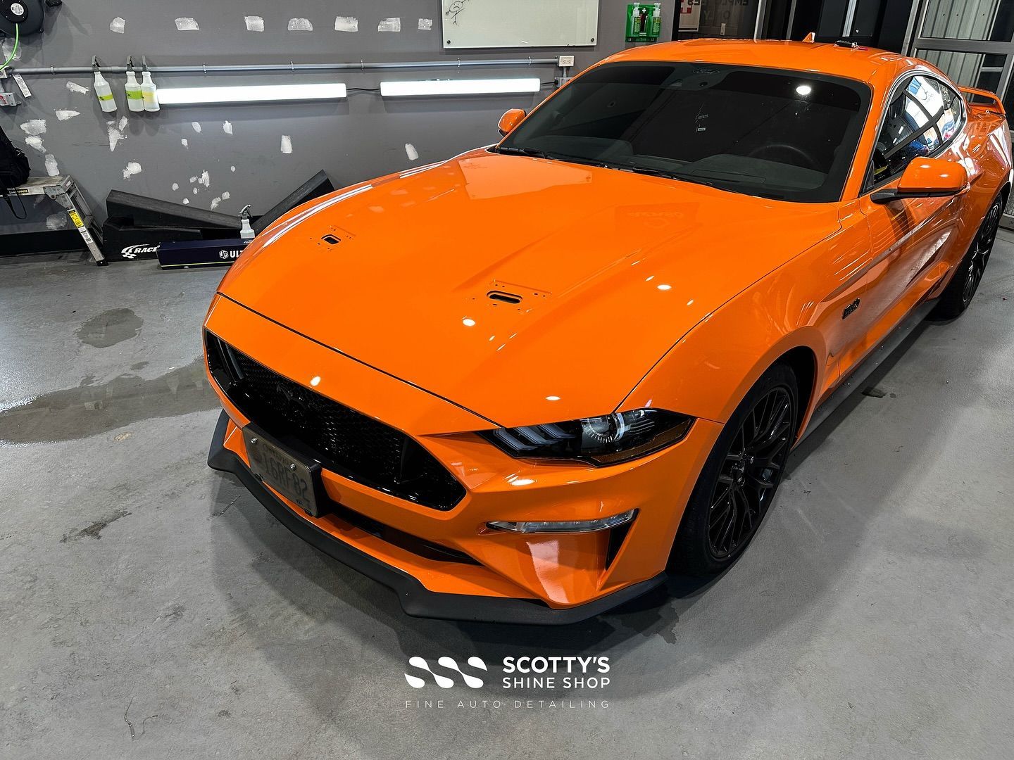 PREMIUM Suntek Ultra paint protection film install on this beautiful Ford Mustang!