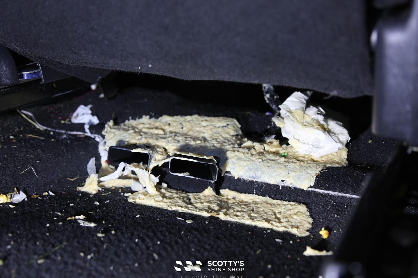 interior detailing before and after london ON
