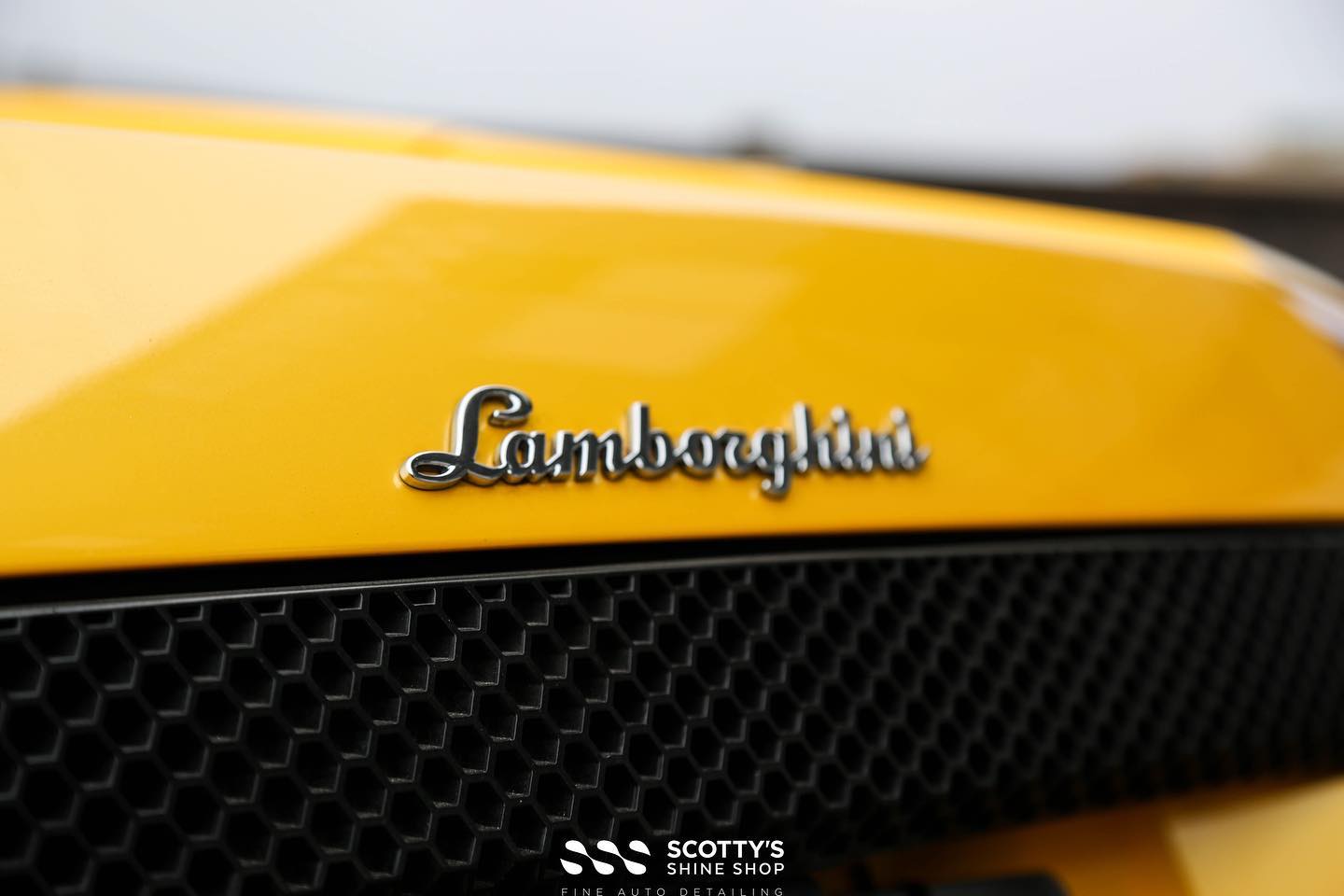 Lamborghini Murcielago Xpel Prime XR plus ceramic window tint and Stek Dynoflex windshield protection film emblem close up London Ontario