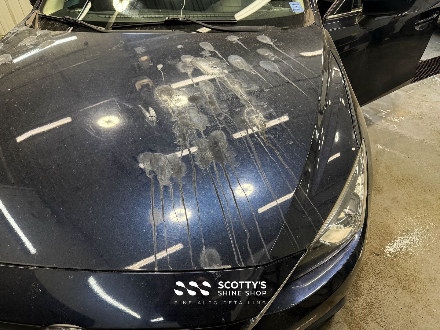 Mazda 3 | Mineral Deposit Removal + Light Paint Correction
This Mazda 3 came to us with heavy minera