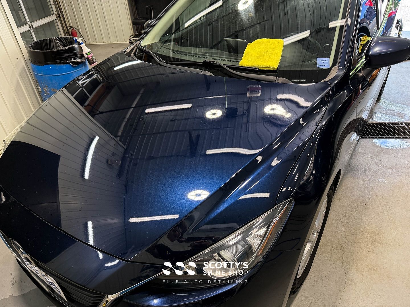 Mazda 3 Light Paint Correction, Mineral Deposit Removal Before and After front hood close up after London, ON