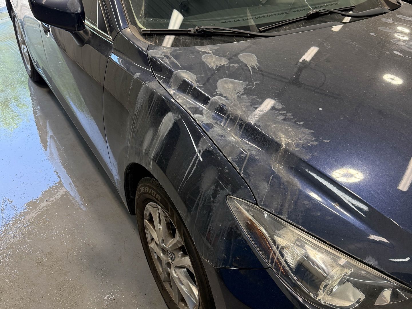 Mazda 3 Light Paint Correction, Mineral Deposit Removal Before and After front hood close up London, ON