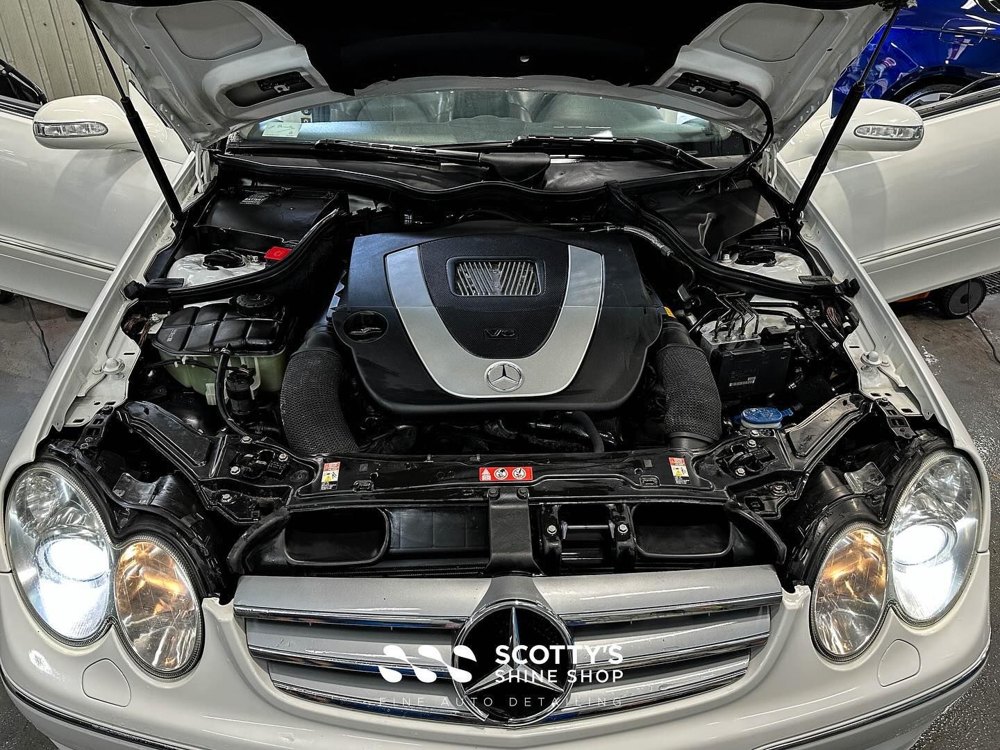 Mercedes Engine Detailing after London, Ontario