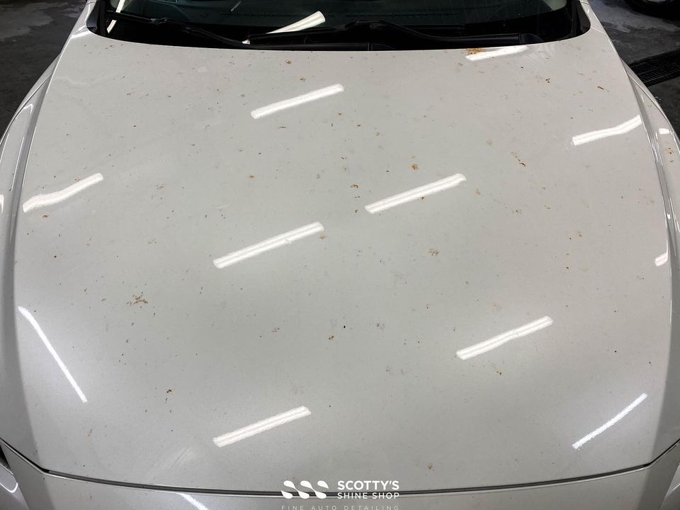 Staining from tree leaves on Car in London Ontario