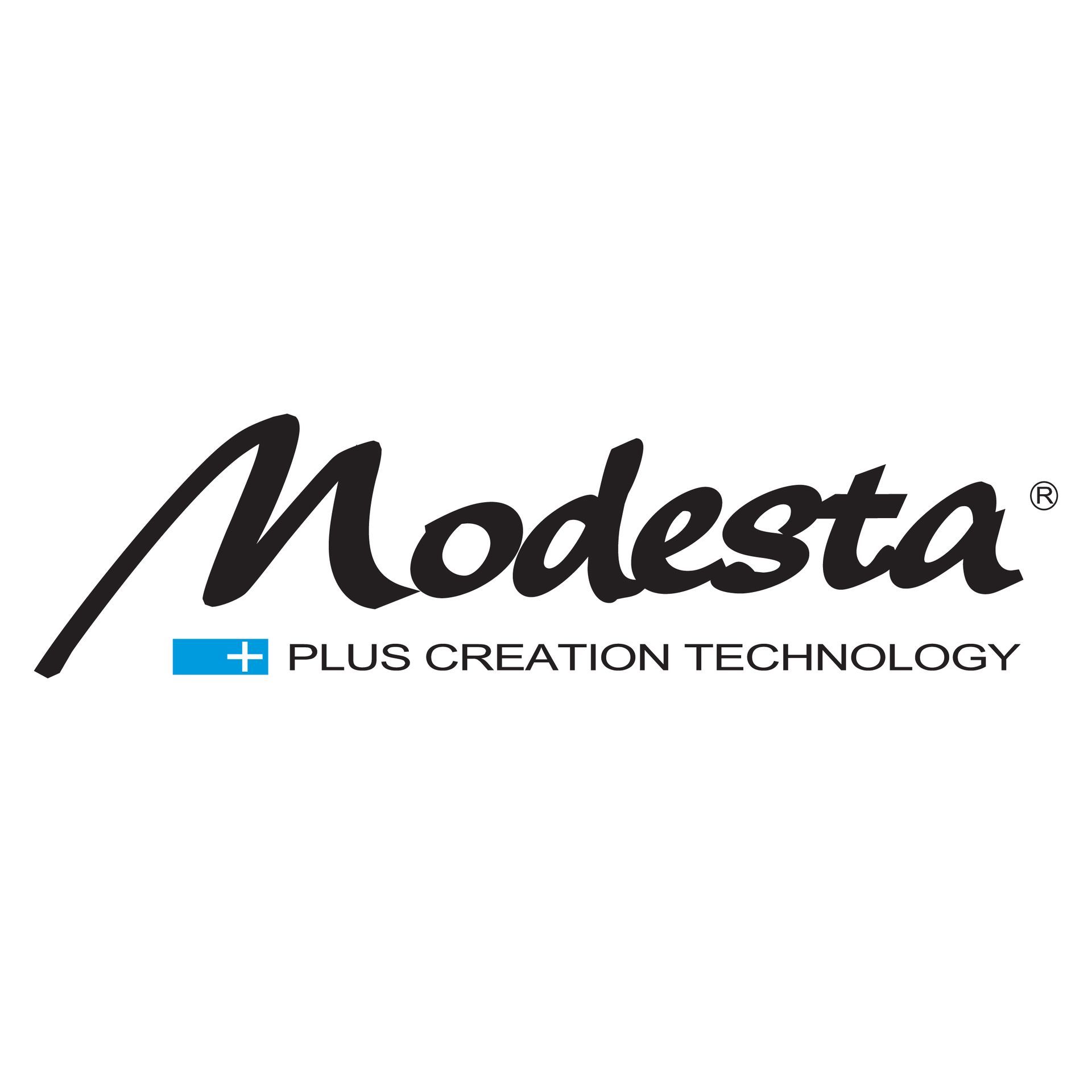 Logo for Modesta Plus Creation Technology with the word