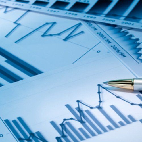 Dunedin Accountants & Business Advisors