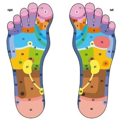 Relexology Foot Chart