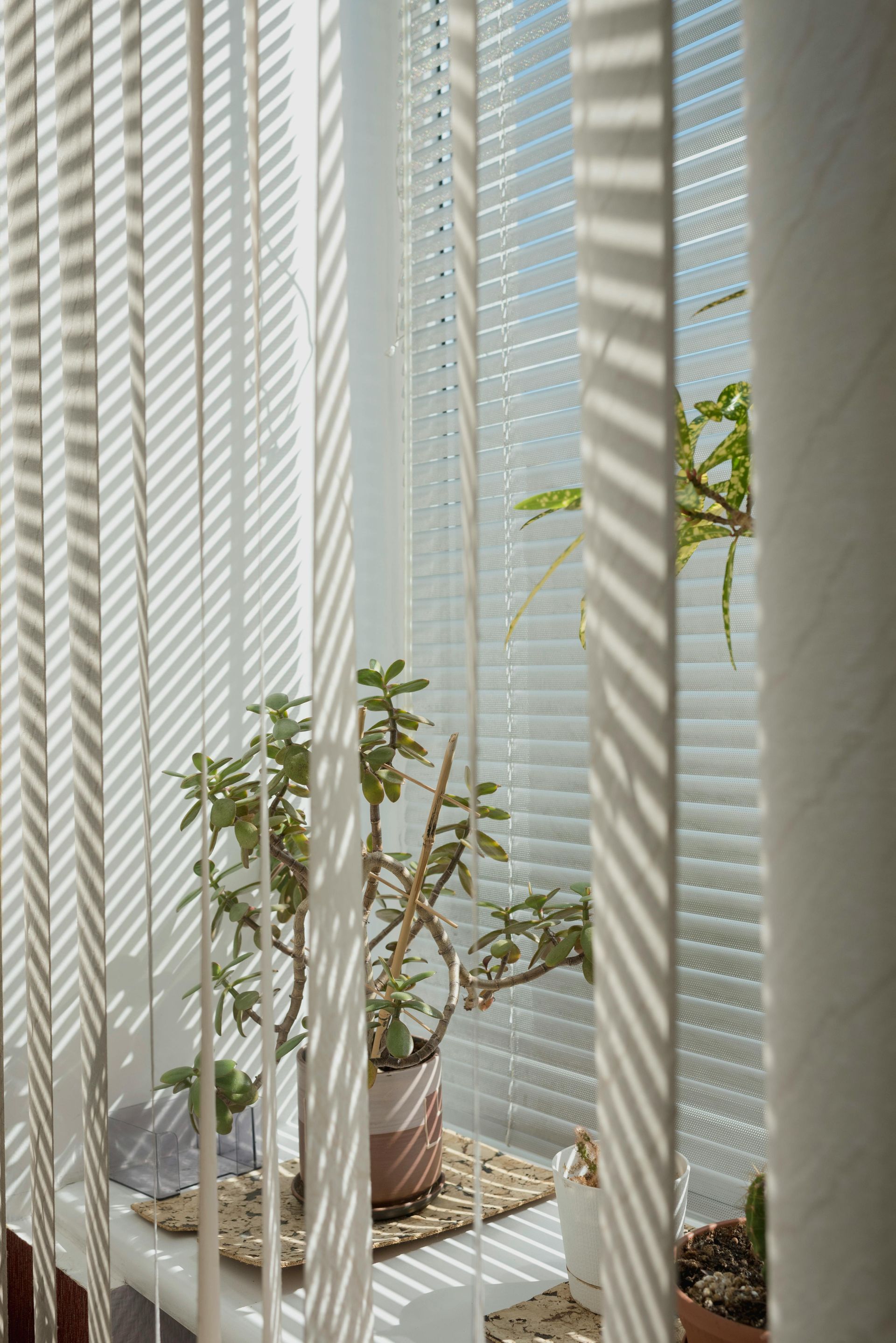White Vertical Blinds, Partially Open — Instyle Curtains & Blinds in Bungalow, QLD