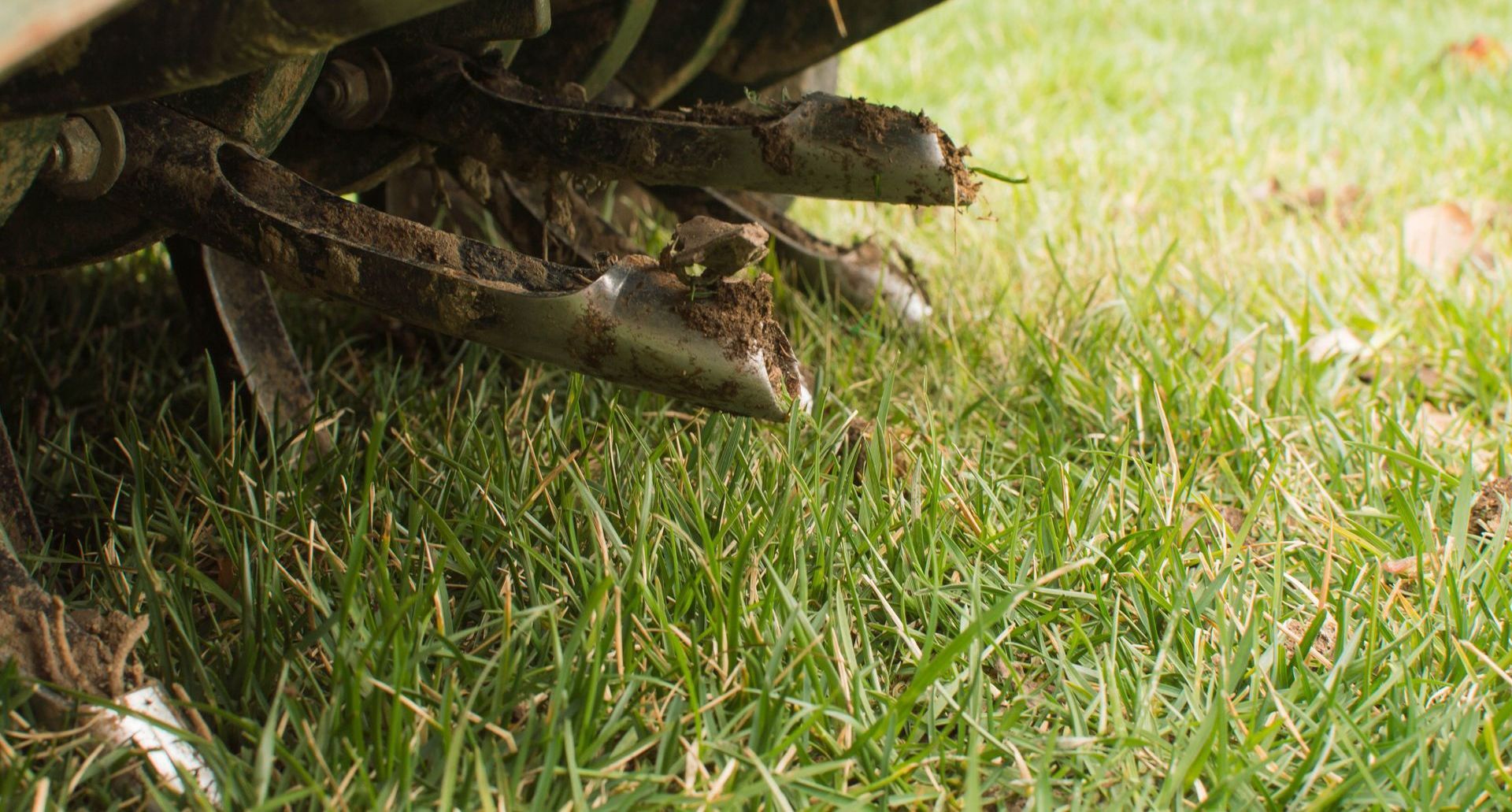 Aerating, core, lawn renovation