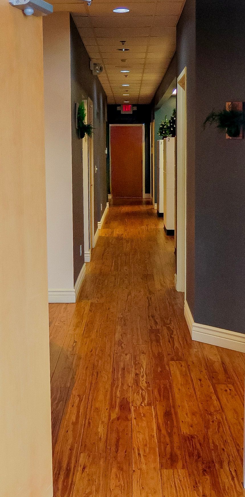 A group of women are posing for a picture in front of a christmas tree.