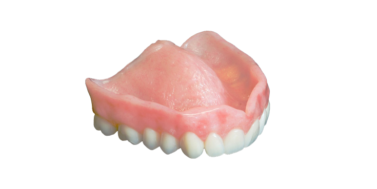 A close up of a denture on a white background.