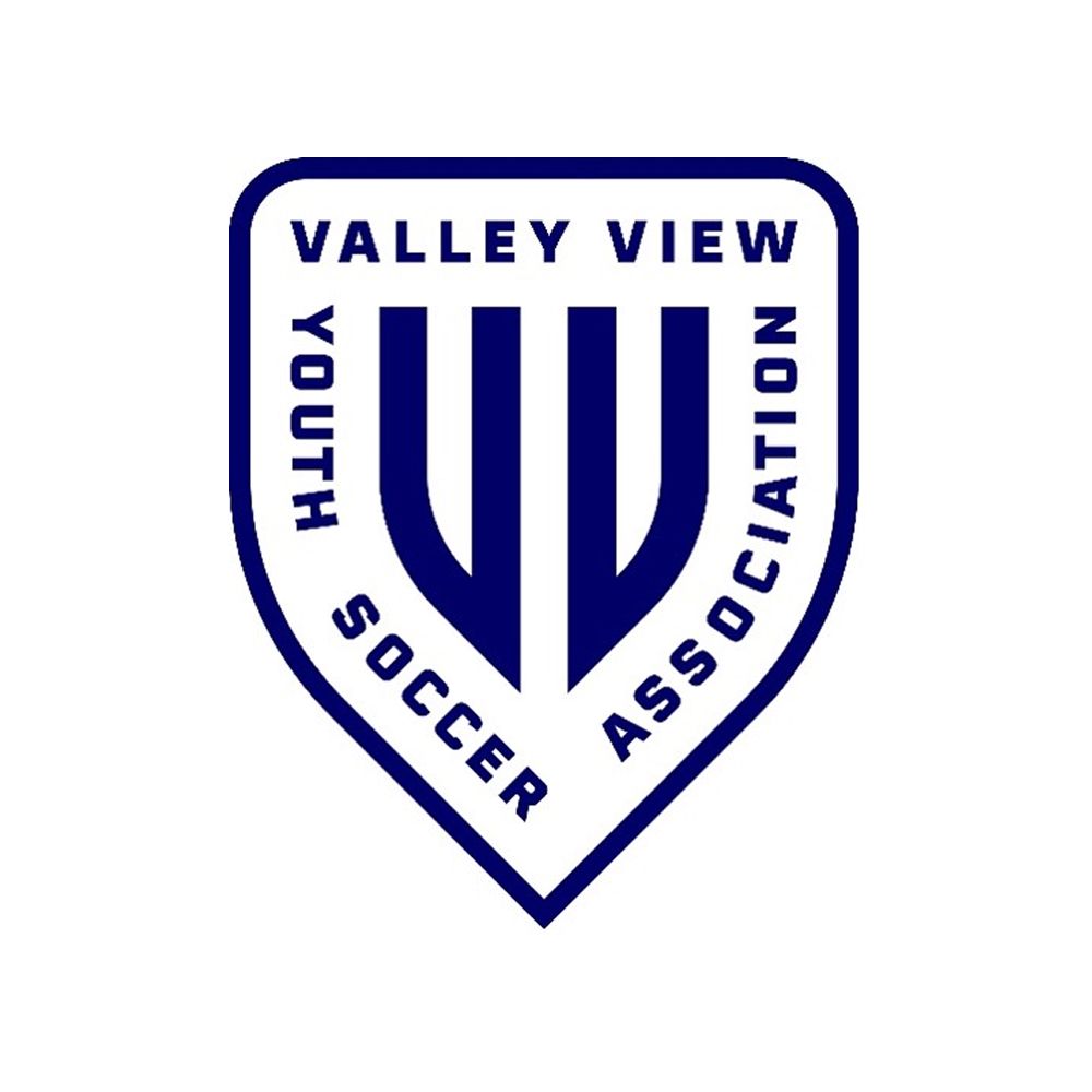 The logo for the valley view youth soccer association