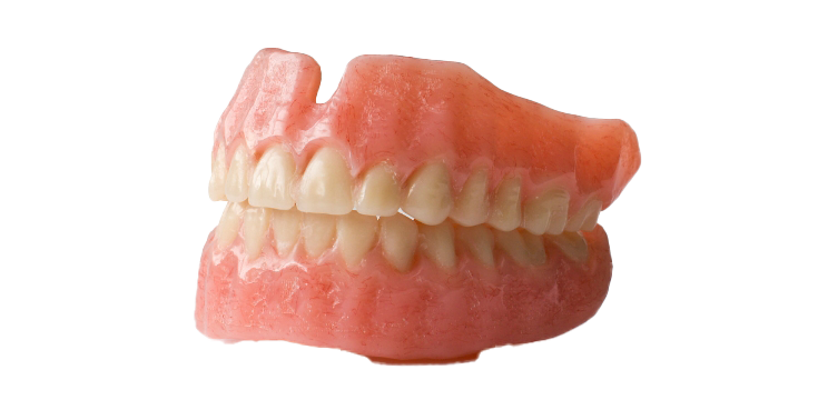 A close up of a denture with white teeth on a white background.