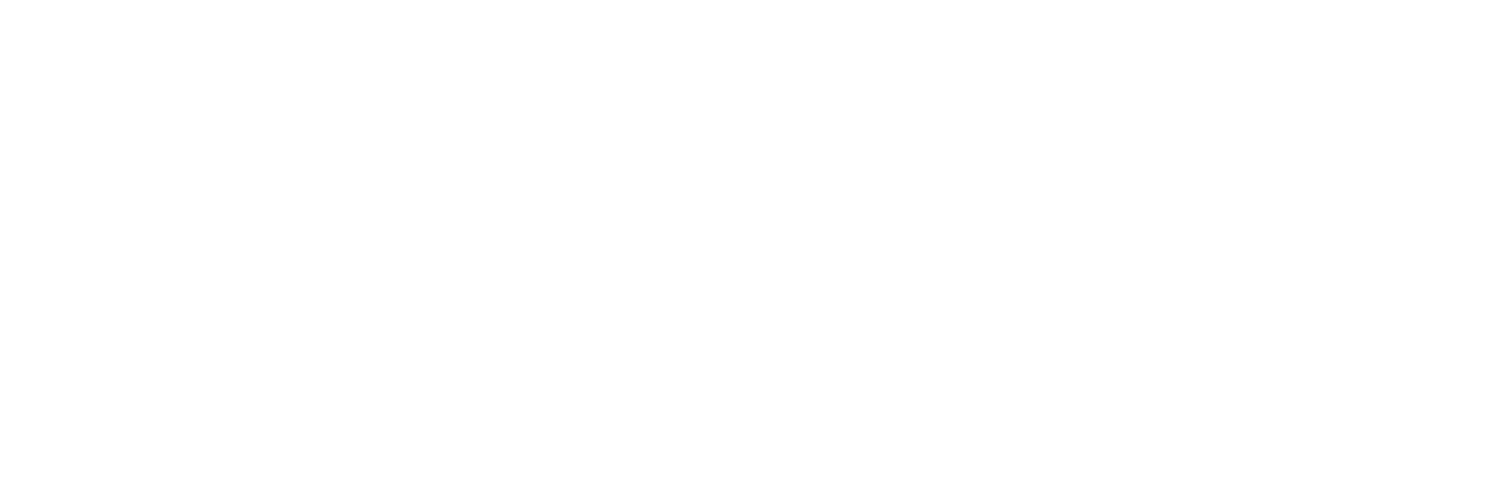 distinctive renovations llc logo