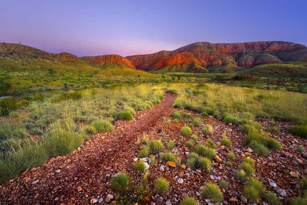 Dirt Road Going Through a Grassy Field — Territory Limousine Service in Kakadu, NT