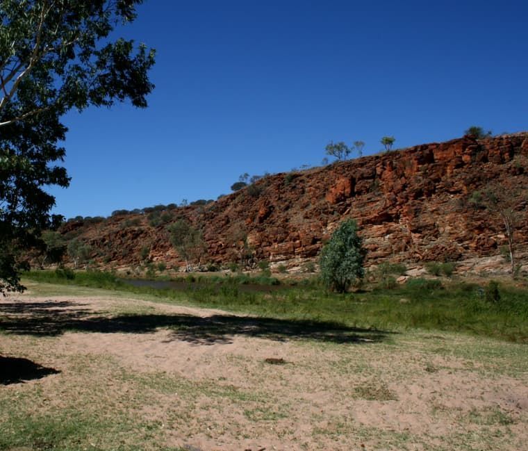 A Landscape With a Tree in the Foreground and a Cliff in the Background — Territory Limousine Service in Litchfield, NT