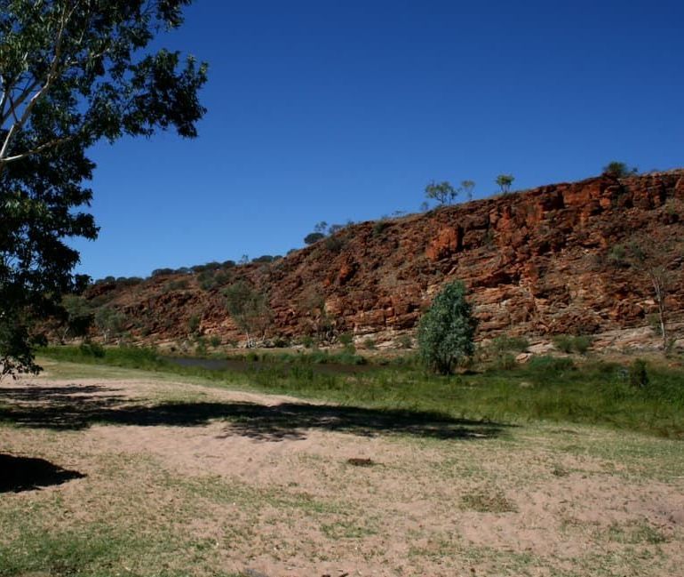 A Landscape With a Tree in the Foreground and a Cliff in the Background — Territory Limousine Service in Litchfield, NT