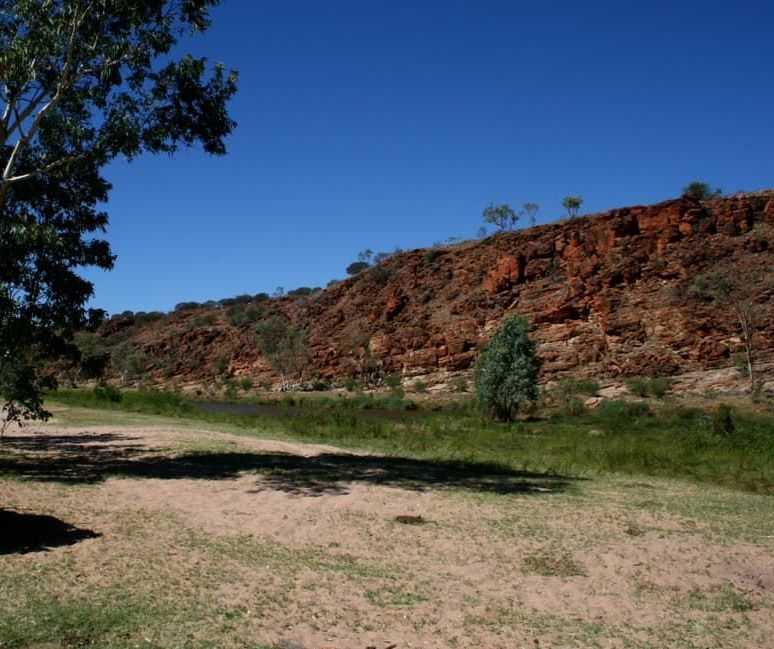 A Landscape With a Tree in the Foreground and a Cliff in the Background — Territory Limousine Service in Litchfield, NT