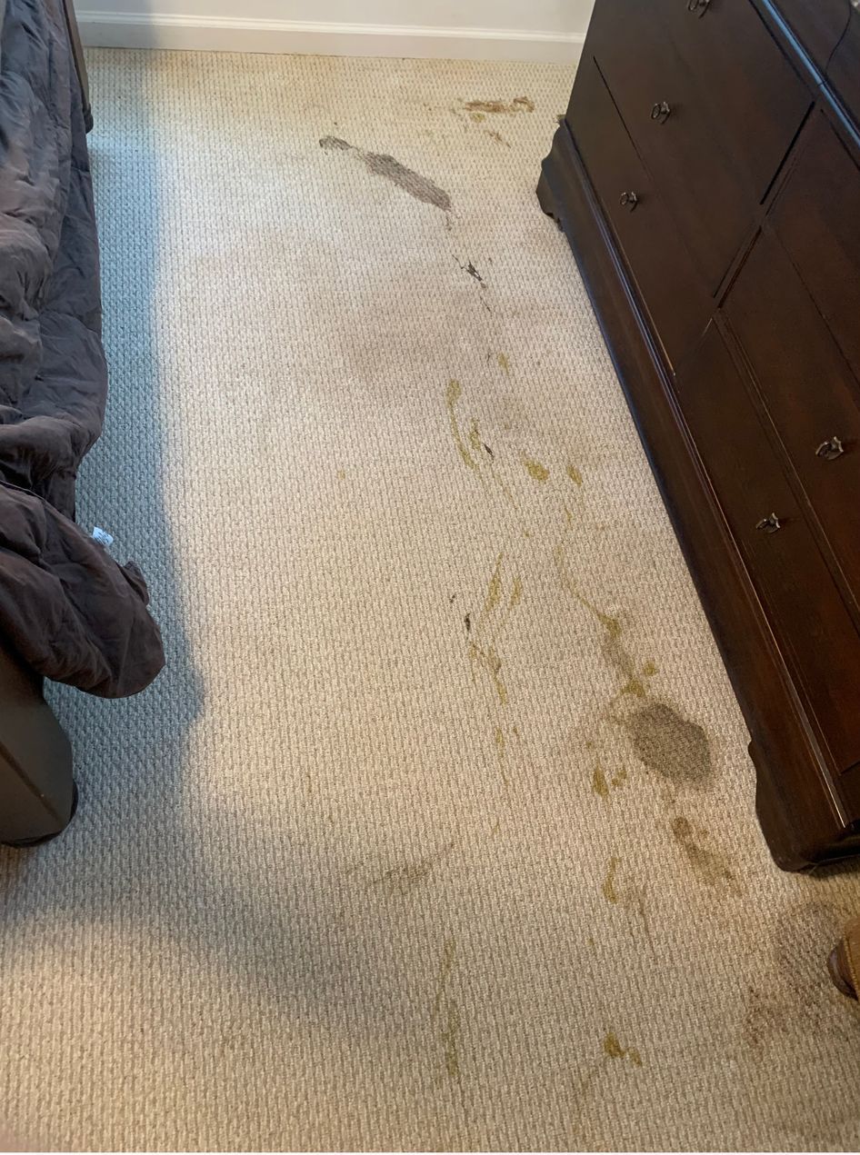 A bedroom with a dirty carpet and a dresser.