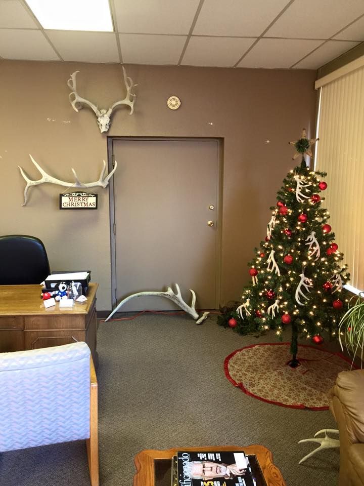 Office interior with a Christmas tree, antlers on the wall, and a desk.