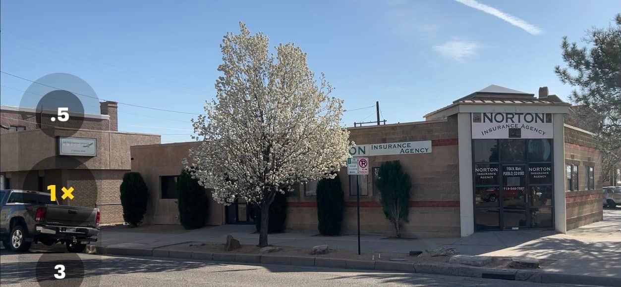 Exterior view of a building, a blooming tree, and a vehicle on a sunny day. The building says