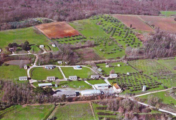 Azienda