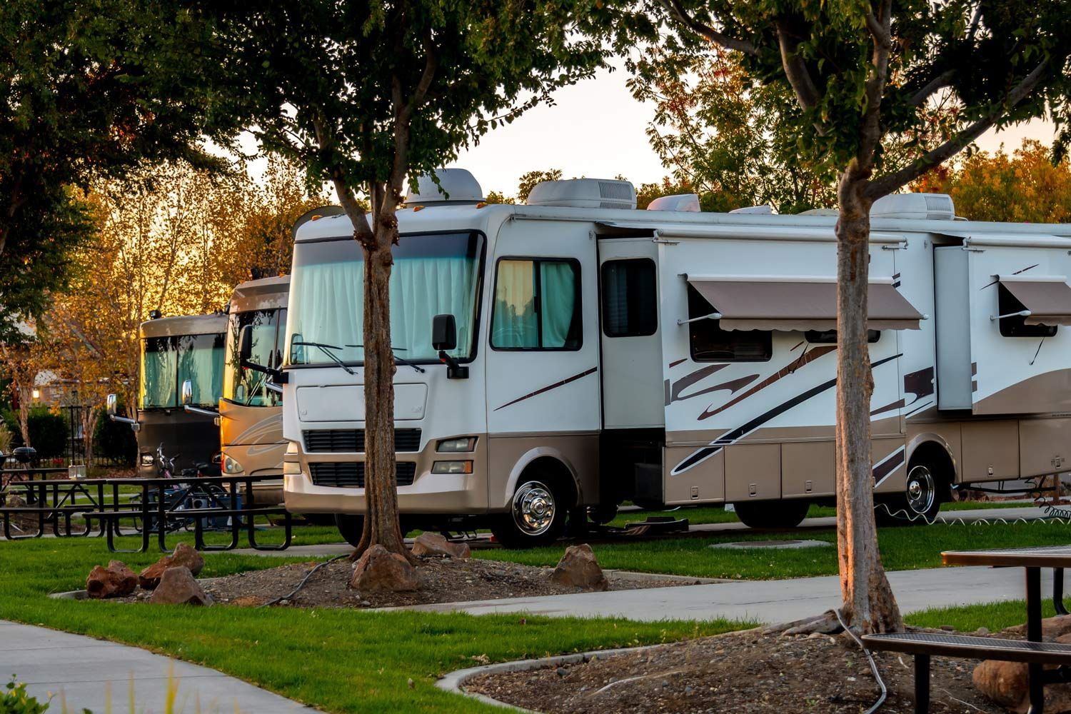 Row of RV are Parked in a Park