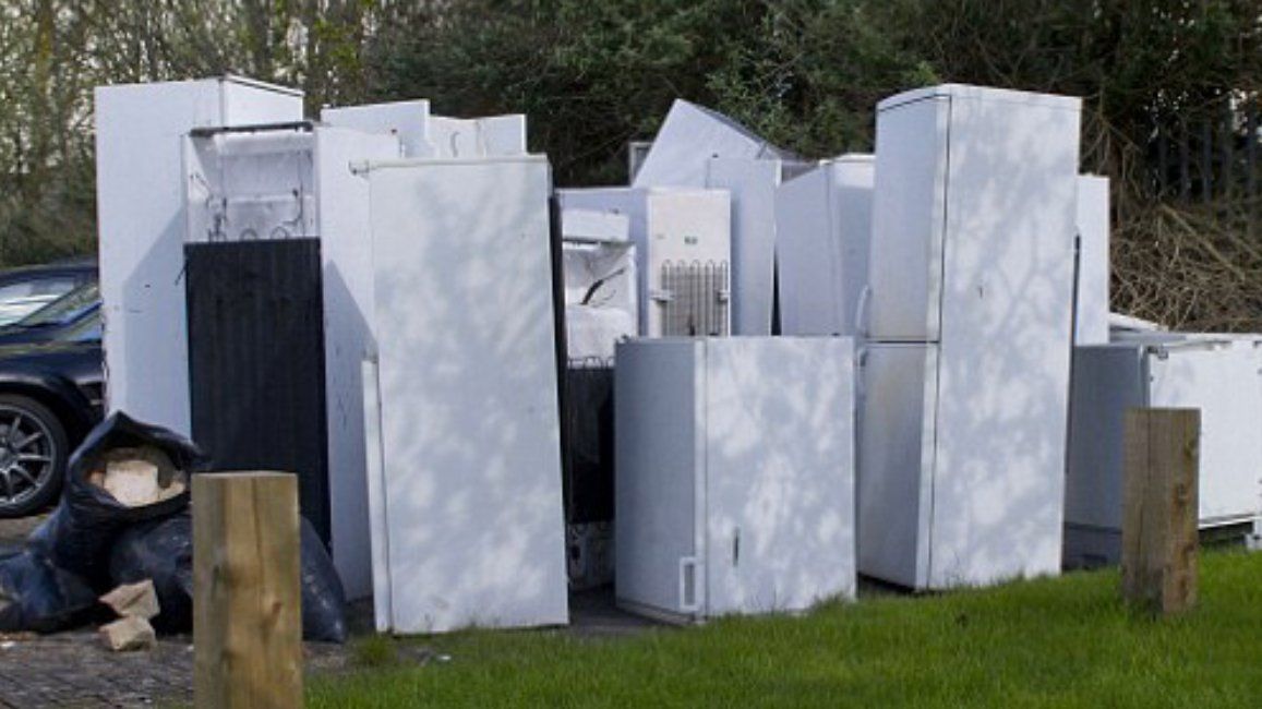 Fridge & Appliance Clearance