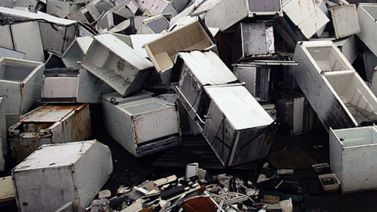 Fridge & Appliance Clearance