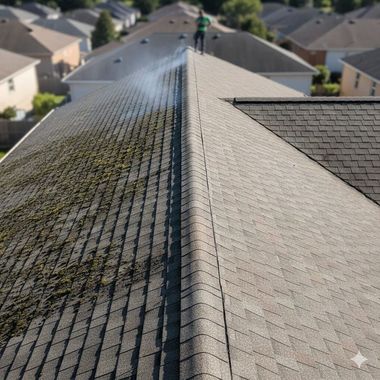 A roof being cleaned; half covered in moss, the other half clean, a person stands spraying water.