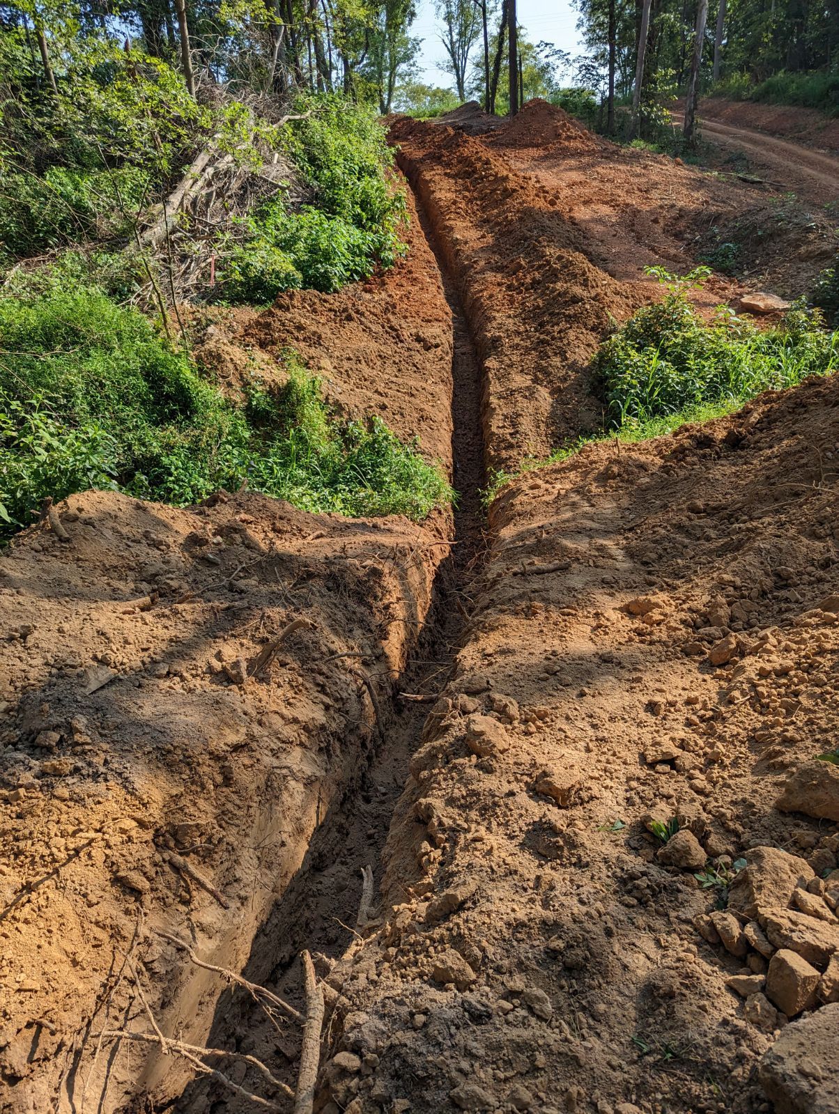 A dirt road is being built in the middle of a forest.
