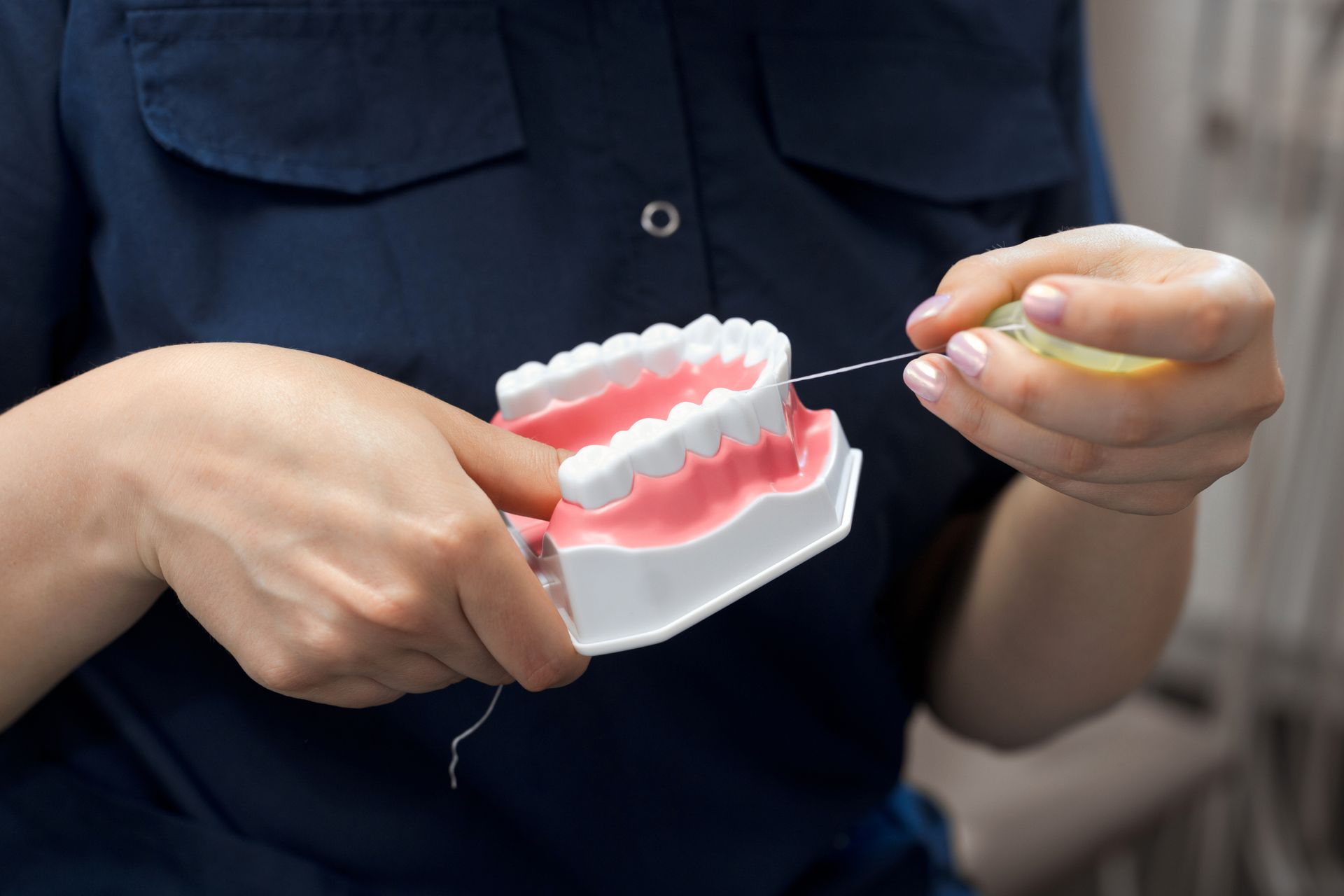 A person is flossing a model of teeth with a dental floss.
