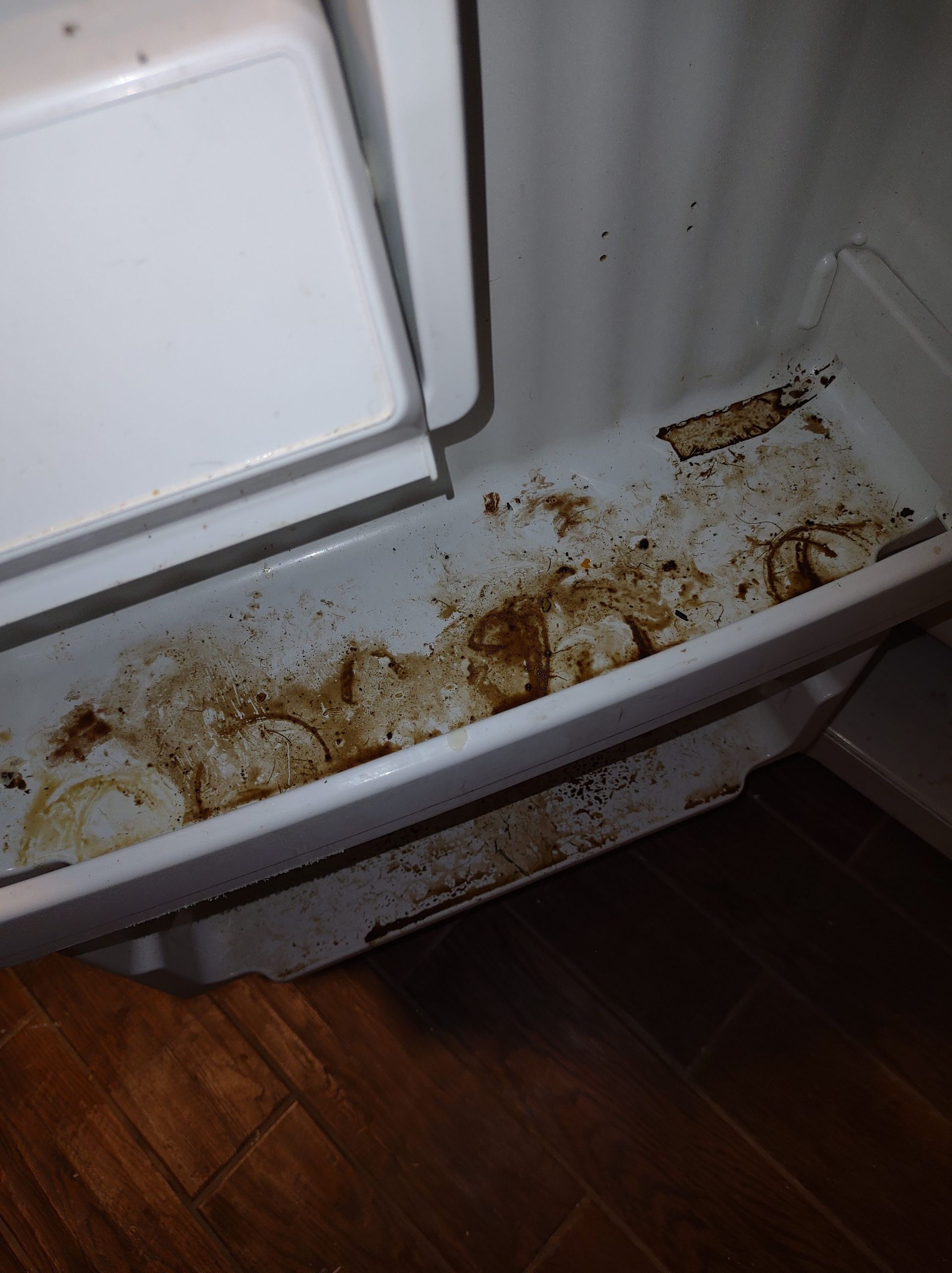 Christian Cleaning & Services, Davidson County TN, Nashville TN, Antioch Nashville TN, Madison Nashville TN, Old Hickory Nashville TN, Hermitage Nashville TN, Belle Meade Links Nashville TN, Cherokee Park Nashville TN, Green Hills Nashville TN, East Nashville Nashville TN, Goodlettsville TN, Belle Meade TN, Williamson County TN, Brentwood TN, Brentwood Hills Brentwood TN, Franklin TN, Wilson County TN, Mt Juliet TN, Sumner County TN, Hendersonville TN, Rutherford County TN, Smyrna TN, Murfreesboro TN, Scottland Acres Murfreesboro TN, La Vergne TN, Cleaning Services, Pressure Washing, Handyman, Moving Services - no more than 30 miles, HVAC & Plumbing, Home Renovations, Cleaning Company, Cleaning Company Near Me, Nashville Cleaning Company, Antioch Cleaning Company, Brentwood Cleaning Company, Franklin Cleaning Company, Mt Juliet Cleaning Company, La Vergne Cleaning Company, Murfreesboro Cleaning Company, Standard Cleaning, Residential Cleaning, House Cleaners Near Me, House Cleaning, Recurring Cleaning, Deep Cleaning, Commercial Cleaning Company, Office Cleaning, Office Cleaners Near Me, Small Area Carpet Cleaning, School Cleaning Company, Bank Cleaning Company, Decluttering Services, Organization Services, Home Organizer Near Me, Pressure Washing, Pressure Washer Near Me, Nashville Pressure Washer, Antioch Pressure Washer, Brentwood Pressure Washer, Franklin Pressure Washer, Mt Juliet Pressure Washer, La Vergne Pressure Washer, Murfreesboro Pressure Washer, Exterior House Was, Pressure Wash House, Pressure Wash Patio, Pressure Wash Driveway, Driveway Cleaning, Pressure Wash Walkway, Walkway Cleaning, Handyman, Handyman Near Me, Nashville Handyman, Antioch Handyman, Brentwood Handyman, Franklin Handyman, Mt Juliet Handyman, La Vergne Handyman, Murfreesboro Handyman, Mount TV, TV Mounting Services Near Me, Hang Ceiling Fans, Changing out Plugs, Light Switch, Moving Company, Nashville Movers, Antioch Movers, Brentwood Movers, Franklin Movers, Mt Juliet Movers, La Vergne Movers, Murfreesboro Movers, Moving Company Near Me, Movers Near Me, Moving Services, Local Moving Services, Packing Services, Unpacking Services, HVAC Contractor, HVAC Company, HVAC Company Near Me, HVAC Services Near Me, Nashville Heating and Air, Antioch Heating and Air, Brentwood Heating and Air, Franklin Heating and Air, Mt Juliet Heating and Air, La Vergne Heating and Air, Murfreesboro Heating and Air, Heating Services, Heater Installation, Heater Repair, Heating and Air Services, AC Installation, AC Repair, Ductwork Installation, Ductwork Repair, Plumbing Contractor, Plumbing Company, Plumbing Company Near Me, Plumber Near Me, Nashville Plumber, Antioch Plumber, Brentwood Plumber, Franklin Plumber, Mt Juliet Plumber, La Vergne Plumber, Murfreesboro Plumber, Plumbing Installation, Plumbing Repairs, Plumbing Services, Plumbing Services Near Me, New Plumbing Fixture Installations, Plumbing Fixture Repairs, Toilet Replacement, Toilet Installation, Toilet Repair, Washer Installation, Dryer Installation, Sink Installation, Sink Repairs, Shower Installation, Shower Repairs, Unclogging Drains, Leaky Faucets, Home Renovations, Home Renovator Near Me, Kitchen Renovations, Bathroom Renovations, Porch Replacements