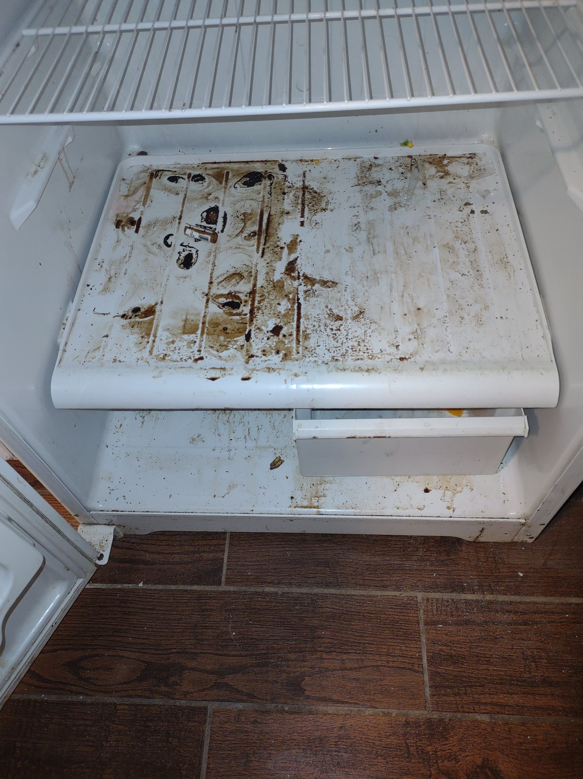 Christian Cleaning & Services, Davidson County TN, Nashville TN, Antioch Nashville TN, Madison Nashville TN, Old Hickory Nashville TN, Hermitage Nashville TN, Belle Meade Links Nashville TN, Cherokee Park Nashville TN, Green Hills Nashville TN, East Nashville Nashville TN, Goodlettsville TN, Belle Meade TN, Williamson County TN, Brentwood TN, Brentwood Hills Brentwood TN, Franklin TN, Wilson County TN, Mt Juliet TN, Sumner County TN, Hendersonville TN, Rutherford County TN, Smyrna TN, Murfreesboro TN, Scottland Acres Murfreesboro TN, La Vergne TN, Cleaning Services, Pressure Washing, Handyman, Moving Services - no more than 30 miles, HVAC & Plumbing, Home Renovations, Cleaning Company, Cleaning Company Near Me, Nashville Cleaning Company, Antioch Cleaning Company, Brentwood Cleaning Company, Franklin Cleaning Company, Mt Juliet Cleaning Company, La Vergne Cleaning Company, Murfreesboro Cleaning Company, Standard Cleaning, Residential Cleaning, House Cleaners Near Me, House Cleaning, Recurring Cleaning, Deep Cleaning, Commercial Cleaning Company, Office Cleaning, Office Cleaners Near Me, Small Area Carpet Cleaning, School Cleaning Company, Bank Cleaning Company, Decluttering Services, Organization Services, Home Organizer Near Me, Pressure Washing, Pressure Washer Near Me, Nashville Pressure Washer, Antioch Pressure Washer, Brentwood Pressure Washer, Franklin Pressure Washer, Mt Juliet Pressure Washer, La Vergne Pressure Washer, Murfreesboro Pressure Washer, Exterior House Was, Pressure Wash House, Pressure Wash Patio, Pressure Wash Driveway, Driveway Cleaning, Pressure Wash Walkway, Walkway Cleaning, Handyman, Handyman Near Me, Nashville Handyman, Antioch Handyman, Brentwood Handyman, Franklin Handyman, Mt Juliet Handyman, La Vergne Handyman, Murfreesboro Handyman, Mount TV, TV Mounting Services Near Me, Hang Ceiling Fans, Changing out Plugs, Light Switch, Moving Company, Nashville Movers, Antioch Movers, Brentwood Movers, Franklin Movers, Mt Juliet Movers, La Vergne Movers, Murfreesboro Movers, Moving Company Near Me, Movers Near Me, Moving Services, Local Moving Services, Packing Services, Unpacking Services, HVAC Contractor, HVAC Company, HVAC Company Near Me, HVAC Services Near Me, Nashville Heating and Air, Antioch Heating and Air, Brentwood Heating and Air, Franklin Heating and Air, Mt Juliet Heating and Air, La Vergne Heating and Air, Murfreesboro Heating and Air, Heating Services, Heater Installation, Heater Repair, Heating and Air Services, AC Installation, AC Repair, Ductwork Installation, Ductwork Repair, Plumbing Contractor, Plumbing Company, Plumbing Company Near Me, Plumber Near Me, Nashville Plumber, Antioch Plumber, Brentwood Plumber, Franklin Plumber, Mt Juliet Plumber, La Vergne Plumber, Murfreesboro Plumber, Plumbing Installation, Plumbing Repairs, Plumbing Services, Plumbing Services Near Me, New Plumbing Fixture Installations, Plumbing Fixture Repairs, Toilet Replacement, Toilet Installation, Toilet Repair, Washer Installation, Dryer Installation, Sink Installation, Sink Repairs, Shower Installation, Shower Repairs, Unclogging Drains, Leaky Faucets, Home Renovations, Home Renovator Near Me, Kitchen Renovations, Bathroom Renovations, Porch Replacements