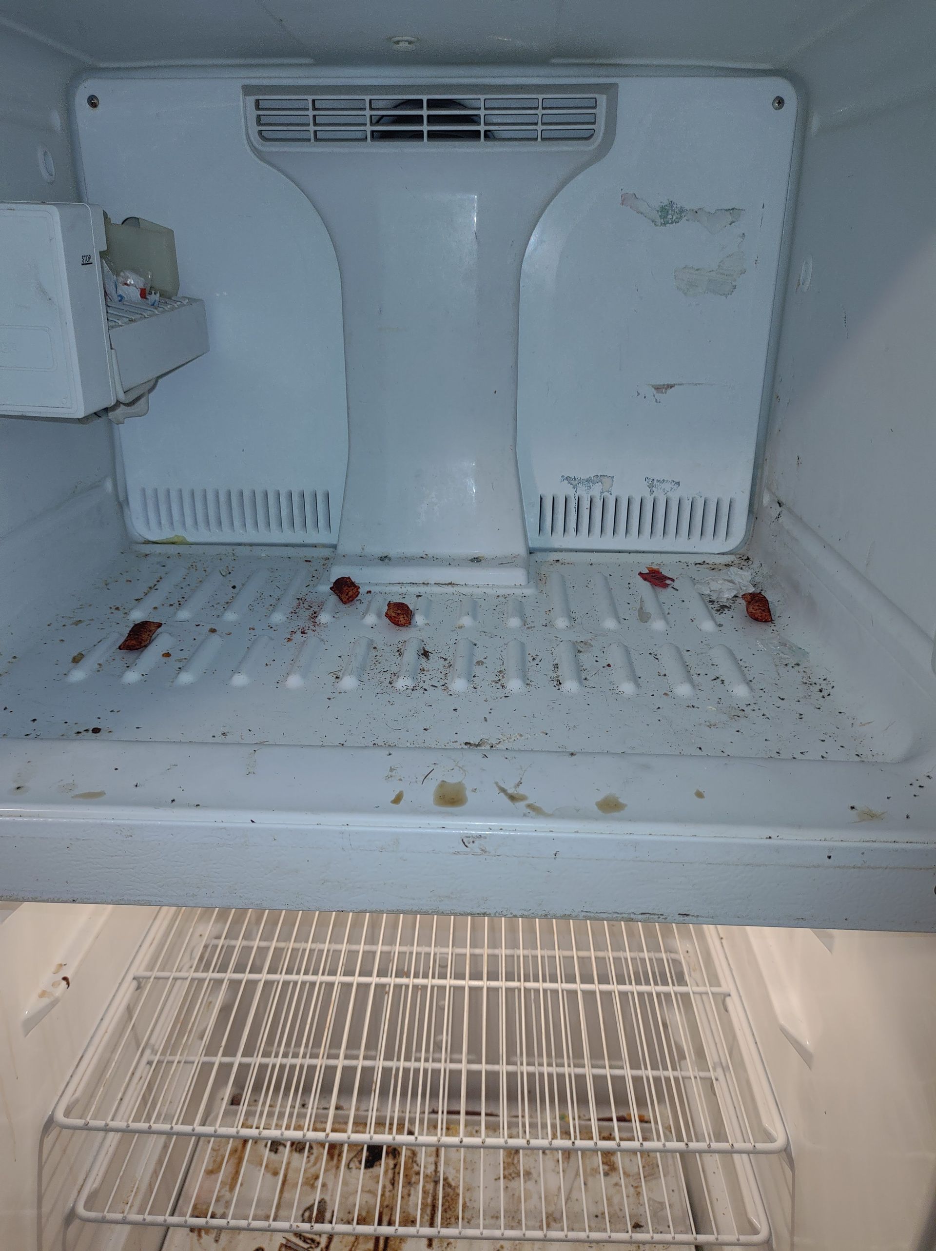 Christian Cleaning & Services, Davidson County TN, Nashville TN, Antioch Nashville TN, Madison Nashville TN, Old Hickory Nashville TN, Hermitage Nashville TN, Belle Meade Links Nashville TN, Cherokee Park Nashville TN, Green Hills Nashville TN, East Nashville Nashville TN, Goodlettsville TN, Belle Meade TN, Williamson County TN, Brentwood TN, Brentwood Hills Brentwood TN, Franklin TN, Wilson County TN, Mt Juliet TN, Sumner County TN, Hendersonville TN, Rutherford County TN, Smyrna TN, Murfreesboro TN, Scottland Acres Murfreesboro TN, La Vergne TN, Cleaning Services, Pressure Washing, Handyman, Moving Services - no more than 30 miles, HVAC & Plumbing, Home Renovations, Cleaning Company, Cleaning Company Near Me, Nashville Cleaning Company, Antioch Cleaning Company, Brentwood Cleaning Company, Franklin Cleaning Company, Mt Juliet Cleaning Company, La Vergne Cleaning Company, Murfreesboro Cleaning Company, Standard Cleaning, Residential Cleaning, House Cleaners Near Me, House Cleaning, Recurring Cleaning, Deep Cleaning, Commercial Cleaning Company, Office Cleaning, Office Cleaners Near Me, Small Area Carpet Cleaning, School Cleaning Company, Bank Cleaning Company, Decluttering Services, Organization Services, Home Organizer Near Me, Pressure Washing, Pressure Washer Near Me, Nashville Pressure Washer, Antioch Pressure Washer, Brentwood Pressure Washer, Franklin Pressure Washer, Mt Juliet Pressure Washer, La Vergne Pressure Washer, Murfreesboro Pressure Washer, Exterior House Was, Pressure Wash House, Pressure Wash Patio, Pressure Wash Driveway, Driveway Cleaning, Pressure Wash Walkway, Walkway Cleaning, Handyman, Handyman Near Me, Nashville Handyman, Antioch Handyman, Brentwood Handyman, Franklin Handyman, Mt Juliet Handyman, La Vergne Handyman, Murfreesboro Handyman, Mount TV, TV Mounting Services Near Me, Hang Ceiling Fans, Changing out Plugs, Light Switch, Moving Company, Nashville Movers, Antioch Movers, Brentwood Movers, Franklin Movers, Mt Juliet Movers, La Vergne Movers, Murfreesboro Movers, Moving Company Near Me, Movers Near Me, Moving Services, Local Moving Services, Packing Services, Unpacking Services, HVAC Contractor, HVAC Company, HVAC Company Near Me, HVAC Services Near Me, Nashville Heating and Air, Antioch Heating and Air, Brentwood Heating and Air, Franklin Heating and Air, Mt Juliet Heating and Air, La Vergne Heating and Air, Murfreesboro Heating and Air, Heating Services, Heater Installation, Heater Repair, Heating and Air Services, AC Installation, AC Repair, Ductwork Installation, Ductwork Repair, Plumbing Contractor, Plumbing Company, Plumbing Company Near Me, Plumber Near Me, Nashville Plumber, Antioch Plumber, Brentwood Plumber, Franklin Plumber, Mt Juliet Plumber, La Vergne Plumber, Murfreesboro Plumber, Plumbing Installation, Plumbing Repairs, Plumbing Services, Plumbing Services Near Me, New Plumbing Fixture Installations, Plumbing Fixture Repairs, Toilet Replacement, Toilet Installation, Toilet Repair, Washer Installation, Dryer Installation, Sink Installation, Sink Repairs, Shower Installation, Shower Repairs, Unclogging Drains, Leaky Faucets, Home Renovations, Home Renovator Near Me, Kitchen Renovations, Bathroom Renovations, Porch Replacements