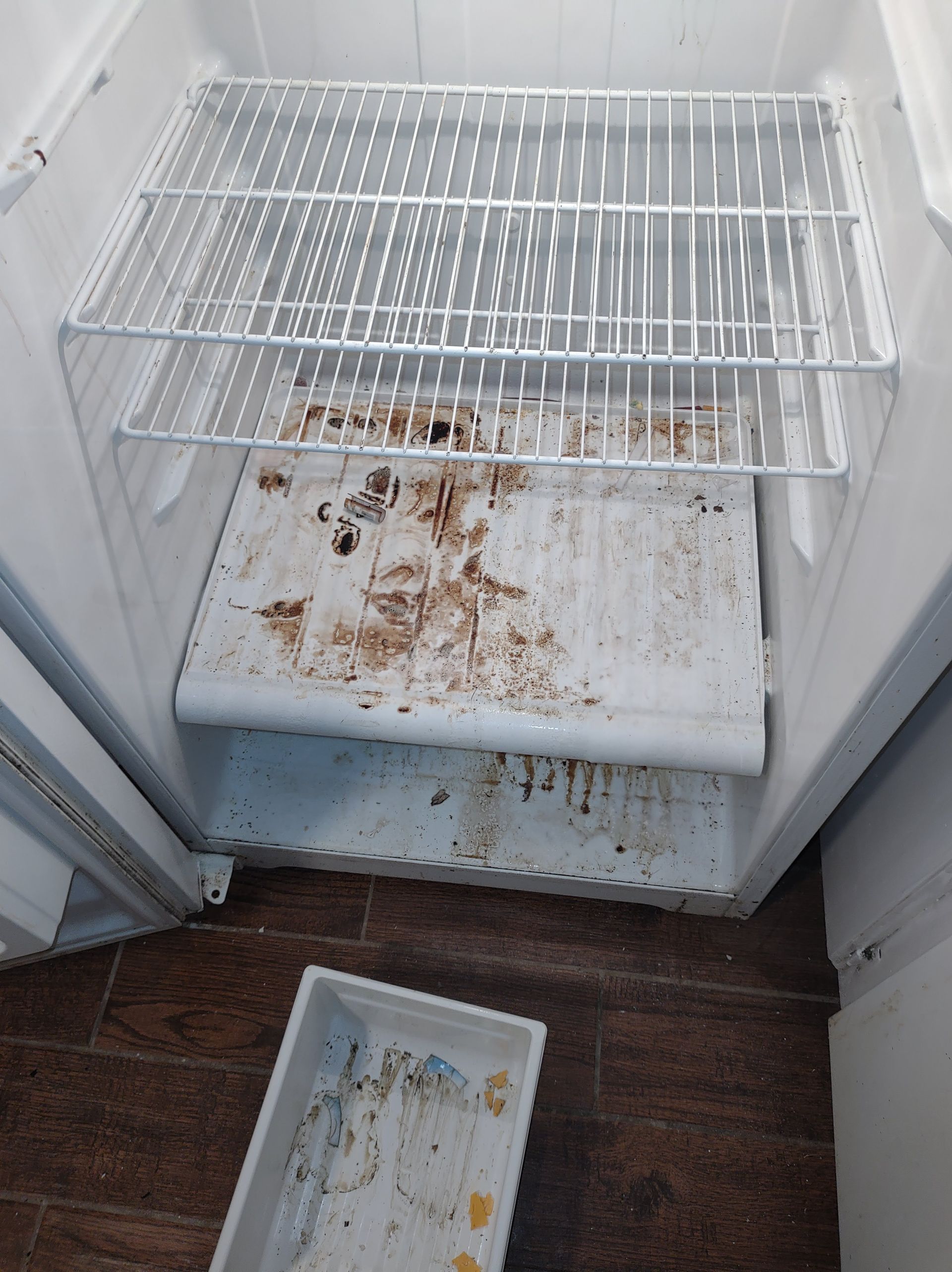 Christian Cleaning & Services, Davidson County TN, Nashville TN, Antioch Nashville TN, Madison Nashville TN, Old Hickory Nashville TN, Hermitage Nashville TN, Belle Meade Links Nashville TN, Cherokee Park Nashville TN, Green Hills Nashville TN, East Nashville Nashville TN, Goodlettsville TN, Belle Meade TN, Williamson County TN, Brentwood TN, Brentwood Hills Brentwood TN, Franklin TN, Wilson County TN, Mt Juliet TN, Sumner County TN, Hendersonville TN, Rutherford County TN, Smyrna TN, Murfreesboro TN, Scottland Acres Murfreesboro TN, La Vergne TN, Cleaning Services, Pressure Washing, Handyman, Moving Services - no more than 30 miles, HVAC & Plumbing, Home Renovations, Cleaning Company, Cleaning Company Near Me, Nashville Cleaning Company, Antioch Cleaning Company, Brentwood Cleaning Company, Franklin Cleaning Company, Mt Juliet Cleaning Company, La Vergne Cleaning Company, Murfreesboro Cleaning Company, Standard Cleaning, Residential Cleaning, House Cleaners Near Me, House Cleaning, Recurring Cleaning, Deep Cleaning, Commercial Cleaning Company, Office Cleaning, Office Cleaners Near Me, Small Area Carpet Cleaning, School Cleaning Company, Bank Cleaning Company, Decluttering Services, Organization Services, Home Organizer Near Me, Pressure Washing, Pressure Washer Near Me, Nashville Pressure Washer, Antioch Pressure Washer, Brentwood Pressure Washer, Franklin Pressure Washer, Mt Juliet Pressure Washer, La Vergne Pressure Washer, Murfreesboro Pressure Washer, Exterior House Was, Pressure Wash House, Pressure Wash Patio, Pressure Wash Driveway, Driveway Cleaning, Pressure Wash Walkway, Walkway Cleaning, Handyman, Handyman Near Me, Nashville Handyman, Antioch Handyman, Brentwood Handyman, Franklin Handyman, Mt Juliet Handyman, La Vergne Handyman, Murfreesboro Handyman, Mount TV, TV Mounting Services Near Me, Hang Ceiling Fans, Changing out Plugs, Light Switch, Moving Company, Nashville Movers, Antioch Movers, Brentwood Movers, Franklin Movers, Mt Juliet Movers, La Vergne Movers, Murfreesboro Movers, Moving Company Near Me, Movers Near Me, Moving Services, Local Moving Services, Packing Services, Unpacking Services, HVAC Contractor, HVAC Company, HVAC Company Near Me, HVAC Services Near Me, Nashville Heating and Air, Antioch Heating and Air, Brentwood Heating and Air, Franklin Heating and Air, Mt Juliet Heating and Air, La Vergne Heating and Air, Murfreesboro Heating and Air, Heating Services, Heater Installation, Heater Repair, Heating and Air Services, AC Installation, AC Repair, Ductwork Installation, Ductwork Repair, Plumbing Contractor, Plumbing Company, Plumbing Company Near Me, Plumber Near Me, Nashville Plumber, Antioch Plumber, Brentwood Plumber, Franklin Plumber, Mt Juliet Plumber, La Vergne Plumber, Murfreesboro Plumber, Plumbing Installation, Plumbing Repairs, Plumbing Services, Plumbing Services Near Me, New Plumbing Fixture Installations, Plumbing Fixture Repairs, Toilet Replacement, Toilet Installation, Toilet Repair, Washer Installation, Dryer Installation, Sink Installation, Sink Repairs, Shower Installation, Shower Repairs, Unclogging Drains, Leaky Faucets, Home Renovations, Home Renovator Near Me, Kitchen Renovations, Bathroom Renovations, Porch Replacements