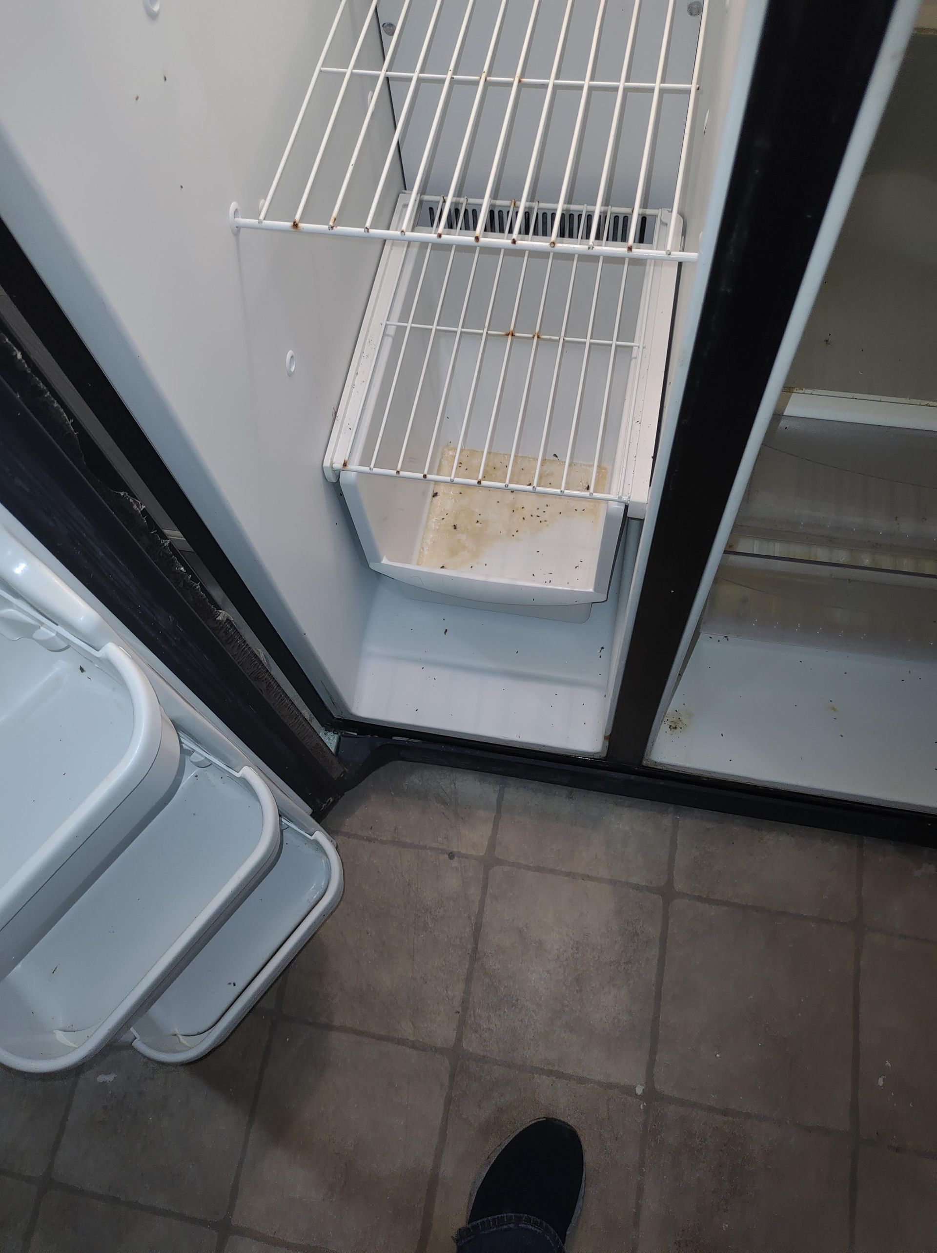 Christian Cleaning & Services, Davidson County TN, Nashville TN, Antioch Nashville TN, Madison Nashville TN, Old Hickory Nashville TN, Hermitage Nashville TN, Belle Meade Links Nashville TN, Cherokee Park Nashville TN, Green Hills Nashville TN, East Nashville Nashville TN, Goodlettsville TN, Belle Meade TN, Williamson County TN, Brentwood TN, Brentwood Hills Brentwood TN, Franklin TN, Wilson County TN, Mt Juliet TN, Sumner County TN, Hendersonville TN, Rutherford County TN, Smyrna TN, Murfreesboro TN, Scottland Acres Murfreesboro TN, La Vergne TN, Cleaning Services, Pressure Washing, Handyman, Moving Services - no more than 30 miles, HVAC & Plumbing, Home Renovations, Cleaning Company, Cleaning Company Near Me, Nashville Cleaning Company, Antioch Cleaning Company, Brentwood Cleaning Company, Franklin Cleaning Company, Mt Juliet Cleaning Company, La Vergne Cleaning Company, Murfreesboro Cleaning Company, Standard Cleaning, Residential Cleaning, House Cleaners Near Me, House Cleaning, Recurring Cleaning, Deep Cleaning, Commercial Cleaning Company, Office Cleaning, Office Cleaners Near Me, Small Area Carpet Cleaning, School Cleaning Company, Bank Cleaning Company, Decluttering Services, Organization Services, Home Organizer Near Me, Pressure Washing, Pressure Washer Near Me, Nashville Pressure Washer, Antioch Pressure Washer, Brentwood Pressure Washer, Franklin Pressure Washer, Mt Juliet Pressure Washer, La Vergne Pressure Washer, Murfreesboro Pressure Washer, Exterior House Was, Pressure Wash House, Pressure Wash Patio, Pressure Wash Driveway, Driveway Cleaning, Pressure Wash Walkway, Walkway Cleaning, Handyman, Handyman Near Me, Nashville Handyman, Antioch Handyman, Brentwood Handyman, Franklin Handyman, Mt Juliet Handyman, La Vergne Handyman, Murfreesboro Handyman, Mount TV, TV Mounting Services Near Me, Hang Ceiling Fans, Changing out Plugs, Light Switch, Moving Company, Nashville Movers, Antioch Movers, Brentwood Movers, Franklin Movers, Mt Juliet Movers, La Vergne Movers, Murfreesboro Movers, Moving Company Near Me, Movers Near Me, Moving Services, Local Moving Services, Packing Services, Unpacking Services, HVAC Contractor, HVAC Company, HVAC Company Near Me, HVAC Services Near Me, Nashville Heating and Air, Antioch Heating and Air, Brentwood Heating and Air, Franklin Heating and Air, Mt Juliet Heating and Air, La Vergne Heating and Air, Murfreesboro Heating and Air, Heating Services, Heater Installation, Heater Repair, Heating and Air Services, AC Installation, AC Repair, Ductwork Installation, Ductwork Repair, Plumbing Contractor, Plumbing Company, Plumbing Company Near Me, Plumber Near Me, Nashville Plumber, Antioch Plumber, Brentwood Plumber, Franklin Plumber, Mt Juliet Plumber, La Vergne Plumber, Murfreesboro Plumber, Plumbing Installation, Plumbing Repairs, Plumbing Services, Plumbing Services Near Me, New Plumbing Fixture Installations, Plumbing Fixture Repairs, Toilet Replacement, Toilet Installation, Toilet Repair, Washer Installation, Dryer Installation, Sink Installation, Sink Repairs, Shower Installation, Shower Repairs, Unclogging Drains, Leaky Faucets, Home Renovations, Home Renovator Near Me, Kitchen Renovations, Bathroom Renovations, Porch Replacements