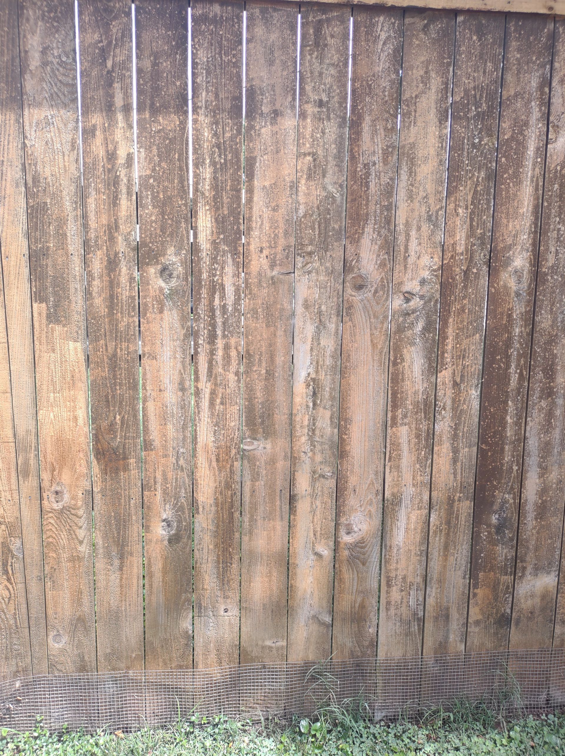 Christian Cleaning & Services, Davidson County TN, Nashville TN, Antioch Nashville TN, Madison Nashville TN, Old Hickory Nashville TN, Hermitage Nashville TN, Belle Meade Links Nashville TN, Cherokee Park Nashville TN, Green Hills Nashville TN, East Nashville Nashville TN, Goodlettsville TN, Belle Meade TN, Williamson County TN, Brentwood TN, Brentwood Hills Brentwood TN, Franklin TN, Wilson County TN, Mt Juliet TN, Sumner County TN, Hendersonville TN, Rutherford County TN, Smyrna TN, Murfreesboro TN, Scottland Acres Murfreesboro TN, La Vergne TN, Cleaning Services, Pressure Washing, Handyman, Moving Services - no more than 30 miles, HVAC & Plumbing, Home Renovations, Cleaning Company, Cleaning Company Near Me, Nashville Cleaning Company, Antioch Cleaning Company, Brentwood Cleaning Company, Franklin Cleaning Company, Mt Juliet Cleaning Company, La Vergne Cleaning Company, Murfreesboro Cleaning Company, Standard Cleaning, Residential Cleaning, House Cleaners Near Me, House Cleaning, Recurring Cleaning, Deep Cleaning, Commercial Cleaning Company, Office Cleaning, Office Cleaners Near Me, Small Area Carpet Cleaning, School Cleaning Company, Bank Cleaning Company, Decluttering Services, Organization Services, Home Organizer Near Me, Pressure Washing, Pressure Washer Near Me, Nashville Pressure Washer, Antioch Pressure Washer, Brentwood Pressure Washer, Franklin Pressure Washer, Mt Juliet Pressure Washer, La Vergne Pressure Washer, Murfreesboro Pressure Washer, Exterior House Was, Pressure Wash House, Pressure Wash Patio, Pressure Wash Driveway, Driveway Cleaning, Pressure Wash Walkway, Walkway Cleaning, Handyman, Handyman Near Me, Nashville Handyman, Antioch Handyman, Brentwood Handyman, Franklin Handyman, Mt Juliet Handyman, La Vergne Handyman, Murfreesboro Handyman, Mount TV, TV Mounting Services Near Me, Hang Ceiling Fans, Changing out Plugs, Light Switch, Moving Company, Nashville Movers, Antioch Movers, Brentwood Movers, Franklin Movers, Mt Juliet Movers, La Vergne Movers, Murfreesboro Movers, Moving Company Near Me, Movers Near Me, Moving Services, Local Moving Services, Packing Services, Unpacking Services, HVAC Contractor, HVAC Company, HVAC Company Near Me, HVAC Services Near Me, Nashville Heating and Air, Antioch Heating and Air, Brentwood Heating and Air, Franklin Heating and Air, Mt Juliet Heating and Air, La Vergne Heating and Air, Murfreesboro Heating and Air, Heating Services, Heater Installation, Heater Repair, Heating and Air Services, AC Installation, AC Repair, Ductwork Installation, Ductwork Repair, Plumbing Contractor, Plumbing Company, Plumbing Company Near Me, Plumber Near Me, Nashville Plumber, Antioch Plumber, Brentwood Plumber, Franklin Plumber, Mt Juliet Plumber, La Vergne Plumber, Murfreesboro Plumber, Plumbing Installation, Plumbing Repairs, Plumbing Services, Plumbing Services Near Me, New Plumbing Fixture Installations, Plumbing Fixture Repairs, Toilet Replacement, Toilet Installation, Toilet Repair, Washer Installation, Dryer Installation, Sink Installation, Sink Repairs, Shower Installation, Shower Repairs, Unclogging Drains, Leaky Faucets, Home Renovations, Home Renovator Near Me, Kitchen Renovations, Bathroom Renovations, Porch Replacements