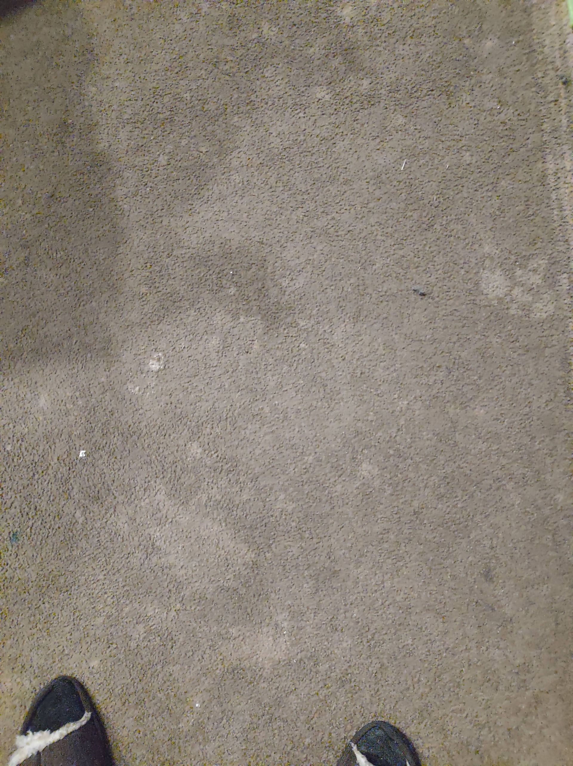 Christian Cleaning & Services, Davidson County TN, Nashville TN, Antioch Nashville TN, Madison Nashville TN, Old Hickory Nashville TN, Hermitage Nashville TN, Belle Meade Links Nashville TN, Cherokee Park Nashville TN, Green Hills Nashville TN, East Nashville Nashville TN, Goodlettsville TN, Belle Meade TN, Williamson County TN, Brentwood TN, Brentwood Hills Brentwood TN, Franklin TN, Wilson County TN, Mt Juliet TN, Sumner County TN, Hendersonville TN, Rutherford County TN, Smyrna TN, Murfreesboro TN, Scottland Acres Murfreesboro TN, La Vergne TN, Cleaning Services, Pressure Washing, Handyman, Moving Services - no more than 30 miles, HVAC & Plumbing, Home Renovations, Cleaning Company, Cleaning Company Near Me, Nashville Cleaning Company, Antioch Cleaning Company, Brentwood Cleaning Company, Franklin Cleaning Company, Mt Juliet Cleaning Company, La Vergne Cleaning Company, Murfreesboro Cleaning Company, Standard Cleaning, Residential Cleaning, House Cleaners Near Me, House Cleaning, Recurring Cleaning, Deep Cleaning, Commercial Cleaning Company, Office Cleaning, Office Cleaners Near Me, Small Area Carpet Cleaning, School Cleaning Company, Bank Cleaning Company, Decluttering Services, Organization Services, Home Organizer Near Me, Pressure Washing, Pressure Washer Near Me, Nashville Pressure Washer, Antioch Pressure Washer, Brentwood Pressure Washer, Franklin Pressure Washer, Mt Juliet Pressure Washer, La Vergne Pressure Washer, Murfreesboro Pressure Washer, Exterior House Was, Pressure Wash House, Pressure Wash Patio, Pressure Wash Driveway, Driveway Cleaning, Pressure Wash Walkway, Walkway Cleaning, Handyman, Handyman Near Me, Nashville Handyman, Antioch Handyman, Brentwood Handyman, Franklin Handyman, Mt Juliet Handyman, La Vergne Handyman, Murfreesboro Handyman, Mount TV, TV Mounting Services Near Me, Hang Ceiling Fans, Changing out Plugs, Light Switch, Moving Company, Nashville Movers, Antioch Movers, Brentwood Movers, Franklin Movers, Mt Juliet Movers, La Vergne Movers, Murfreesboro Movers, Moving Company Near Me, Movers Near Me, Moving Services, Local Moving Services, Packing Services, Unpacking Services, HVAC Contractor, HVAC Company, HVAC Company Near Me, HVAC Services Near Me, Nashville Heating and Air, Antioch Heating and Air, Brentwood Heating and Air, Franklin Heating and Air, Mt Juliet Heating and Air, La Vergne Heating and Air, Murfreesboro Heating and Air, Heating Services, Heater Installation, Heater Repair, Heating and Air Services, AC Installation, AC Repair, Ductwork Installation, Ductwork Repair, Plumbing Contractor, Plumbing Company, Plumbing Company Near Me, Plumber Near Me, Nashville Plumber, Antioch Plumber, Brentwood Plumber, Franklin Plumber, Mt Juliet Plumber, La Vergne Plumber, Murfreesboro Plumber, Plumbing Installation, Plumbing Repairs, Plumbing Services, Plumbing Services Near Me, New Plumbing Fixture Installations, Plumbing Fixture Repairs, Toilet Replacement, Toilet Installation, Toilet Repair, Washer Installation, Dryer Installation, Sink Installation, Sink Repairs, Shower Installation, Shower Repairs, Unclogging Drains, Leaky Faucets, Home Renovations, Home Renovator Near Me, Kitchen Renovations, Bathroom Renovations, Porch Replacements