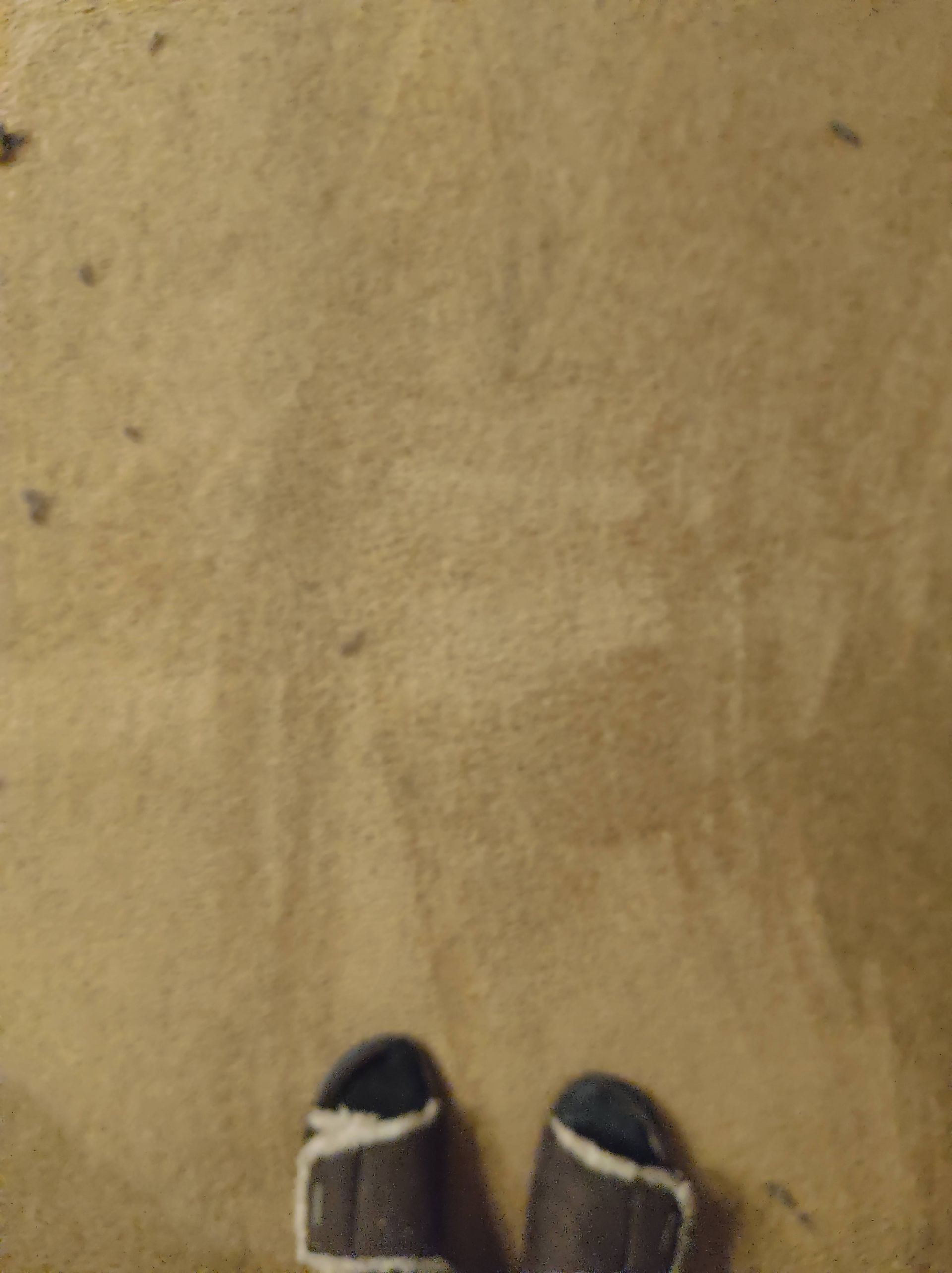 Christian Cleaning & Services, Davidson County TN, Nashville TN, Antioch Nashville TN, Madison Nashville TN, Old Hickory Nashville TN, Hermitage Nashville TN, Belle Meade Links Nashville TN, Cherokee Park Nashville TN, Green Hills Nashville TN, East Nashville Nashville TN, Goodlettsville TN, Belle Meade TN, Williamson County TN, Brentwood TN, Brentwood Hills Brentwood TN, Franklin TN, Wilson County TN, Mt Juliet TN, Sumner County TN, Hendersonville TN, Rutherford County TN, Smyrna TN, Murfreesboro TN, Scottland Acres Murfreesboro TN, La Vergne TN, Cleaning Services, Pressure Washing, Handyman, Moving Services - no more than 30 miles, HVAC & Plumbing, Home Renovations, Cleaning Company, Cleaning Company Near Me, Nashville Cleaning Company, Antioch Cleaning Company, Brentwood Cleaning Company, Franklin Cleaning Company, Mt Juliet Cleaning Company, La Vergne Cleaning Company, Murfreesboro Cleaning Company, Standard Cleaning, Residential Cleaning, House Cleaners Near Me, House Cleaning, Recurring Cleaning, Deep Cleaning, Commercial Cleaning Company, Office Cleaning, Office Cleaners Near Me, Small Area Carpet Cleaning, School Cleaning Company, Bank Cleaning Company, Decluttering Services, Organization Services, Home Organizer Near Me, Pressure Washing, Pressure Washer Near Me, Nashville Pressure Washer, Antioch Pressure Washer, Brentwood Pressure Washer, Franklin Pressure Washer, Mt Juliet Pressure Washer, La Vergne Pressure Washer, Murfreesboro Pressure Washer, Exterior House Was, Pressure Wash House, Pressure Wash Patio, Pressure Wash Driveway, Driveway Cleaning, Pressure Wash Walkway, Walkway Cleaning, Handyman, Handyman Near Me, Nashville Handyman, Antioch Handyman, Brentwood Handyman, Franklin Handyman, Mt Juliet Handyman, La Vergne Handyman, Murfreesboro Handyman, Mount TV, TV Mounting Services Near Me, Hang Ceiling Fans, Changing out Plugs, Light Switch, Moving Company, Nashville Movers, Antioch Movers, Brentwood Movers, Franklin Movers, Mt Juliet Movers, La Vergne Movers, Murfreesboro Movers, Moving Company Near Me, Movers Near Me, Moving Services, Local Moving Services, Packing Services, Unpacking Services, HVAC Contractor, HVAC Company, HVAC Company Near Me, HVAC Services Near Me, Nashville Heating and Air, Antioch Heating and Air, Brentwood Heating and Air, Franklin Heating and Air, Mt Juliet Heating and Air, La Vergne Heating and Air, Murfreesboro Heating and Air, Heating Services, Heater Installation, Heater Repair, Heating and Air Services, AC Installation, AC Repair, Ductwork Installation, Ductwork Repair, Plumbing Contractor, Plumbing Company, Plumbing Company Near Me, Plumber Near Me, Nashville Plumber, Antioch Plumber, Brentwood Plumber, Franklin Plumber, Mt Juliet Plumber, La Vergne Plumber, Murfreesboro Plumber, Plumbing Installation, Plumbing Repairs, Plumbing Services, Plumbing Services Near Me, New Plumbing Fixture Installations, Plumbing Fixture Repairs, Toilet Replacement, Toilet Installation, Toilet Repair, Washer Installation, Dryer Installation, Sink Installation, Sink Repairs, Shower Installation, Shower Repairs, Unclogging Drains, Leaky Faucets, Home Renovations, Home Renovator Near Me, Kitchen Renovations, Bathroom Renovations, Porch Replacements