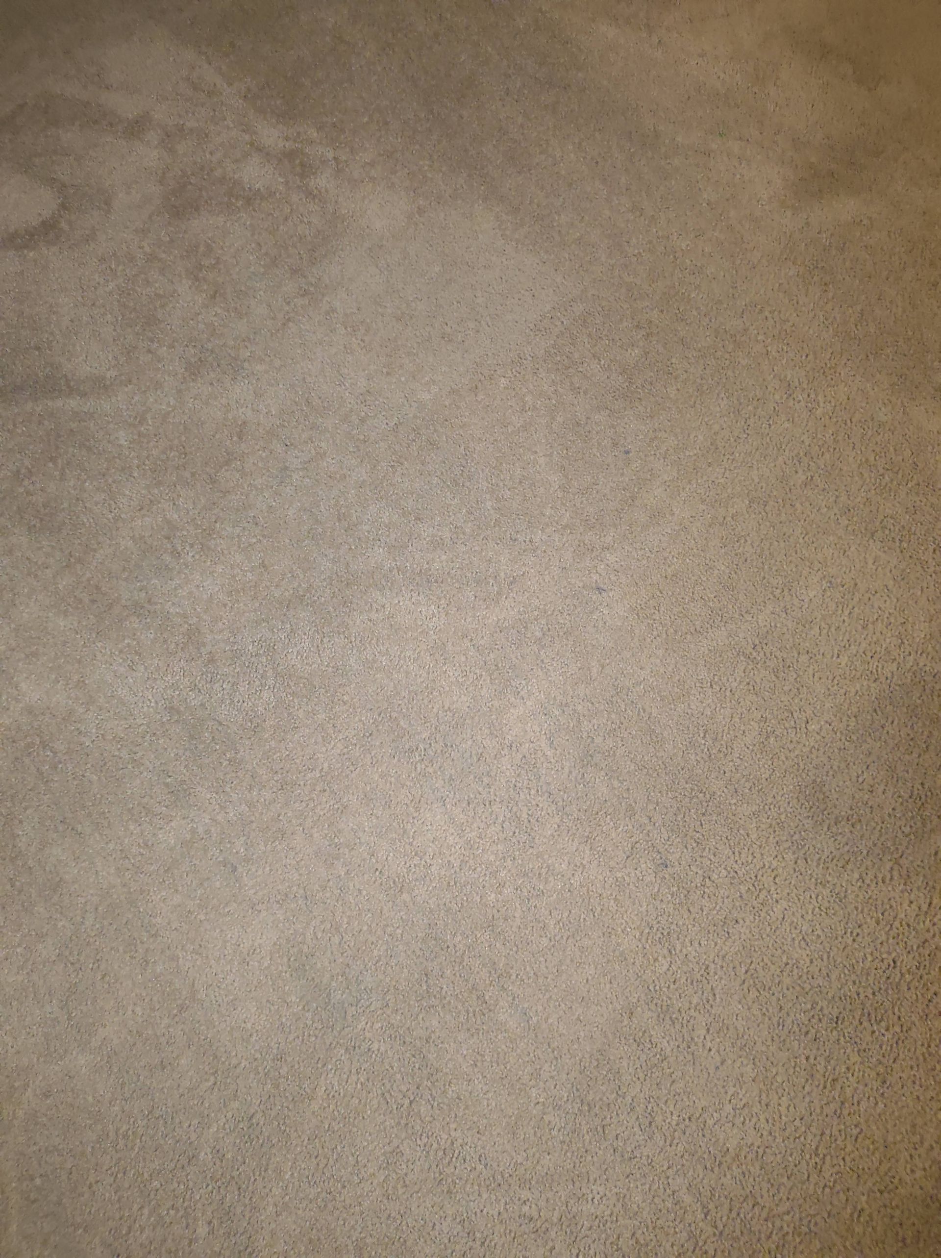 Christian Cleaning & Services, Davidson County TN, Nashville TN, Antioch Nashville TN, Madison Nashville TN, Old Hickory Nashville TN, Hermitage Nashville TN, Belle Meade Links Nashville TN, Cherokee Park Nashville TN, Green Hills Nashville TN, East Nashville Nashville TN, Goodlettsville TN, Belle Meade TN, Williamson County TN, Brentwood TN, Brentwood Hills Brentwood TN, Franklin TN, Wilson County TN, Mt Juliet TN, Sumner County TN, Hendersonville TN, Rutherford County TN, Smyrna TN, Murfreesboro TN, Scottland Acres Murfreesboro TN, La Vergne TN, Cleaning Services, Pressure Washing, Handyman, Moving Services - no more than 30 miles, HVAC & Plumbing, Home Renovations, Cleaning Company, Cleaning Company Near Me, Nashville Cleaning Company, Antioch Cleaning Company, Brentwood Cleaning Company, Franklin Cleaning Company, Mt Juliet Cleaning Company, La Vergne Cleaning Company, Murfreesboro Cleaning Company, Standard Cleaning, Residential Cleaning, House Cleaners Near Me, House Cleaning, Recurring Cleaning, Deep Cleaning, Commercial Cleaning Company, Office Cleaning, Office Cleaners Near Me, Small Area Carpet Cleaning, School Cleaning Company, Bank Cleaning Company, Decluttering Services, Organization Services, Home Organizer Near Me, Pressure Washing, Pressure Washer Near Me, Nashville Pressure Washer, Antioch Pressure Washer, Brentwood Pressure Washer, Franklin Pressure Washer, Mt Juliet Pressure Washer, La Vergne Pressure Washer, Murfreesboro Pressure Washer, Exterior House Was, Pressure Wash House, Pressure Wash Patio, Pressure Wash Driveway, Driveway Cleaning, Pressure Wash Walkway, Walkway Cleaning, Handyman, Handyman Near Me, Nashville Handyman, Antioch Handyman, Brentwood Handyman, Franklin Handyman, Mt Juliet Handyman, La Vergne Handyman, Murfreesboro Handyman, Mount TV, TV Mounting Services Near Me, Hang Ceiling Fans, Changing out Plugs, Light Switch, Moving Company, Nashville Movers, Antioch Movers, Brentwood Movers, Franklin Movers, Mt Juliet Movers, La Vergne Movers, Murfreesboro Movers, Moving Company Near Me, Movers Near Me, Moving Services, Local Moving Services, Packing Services, Unpacking Services, HVAC Contractor, HVAC Company, HVAC Company Near Me, HVAC Services Near Me, Nashville Heating and Air, Antioch Heating and Air, Brentwood Heating and Air, Franklin Heating and Air, Mt Juliet Heating and Air, La Vergne Heating and Air, Murfreesboro Heating and Air, Heating Services, Heater Installation, Heater Repair, Heating and Air Services, AC Installation, AC Repair, Ductwork Installation, Ductwork Repair, Plumbing Contractor, Plumbing Company, Plumbing Company Near Me, Plumber Near Me, Nashville Plumber, Antioch Plumber, Brentwood Plumber, Franklin Plumber, Mt Juliet Plumber, La Vergne Plumber, Murfreesboro Plumber, Plumbing Installation, Plumbing Repairs, Plumbing Services, Plumbing Services Near Me, New Plumbing Fixture Installations, Plumbing Fixture Repairs, Toilet Replacement, Toilet Installation, Toilet Repair, Washer Installation, Dryer Installation, Sink Installation, Sink Repairs, Shower Installation, Shower Repairs, Unclogging Drains, Leaky Faucets, Home Renovations, Home Renovator Near Me, Kitchen Renovations, Bathroom Renovations, Porch Replacements