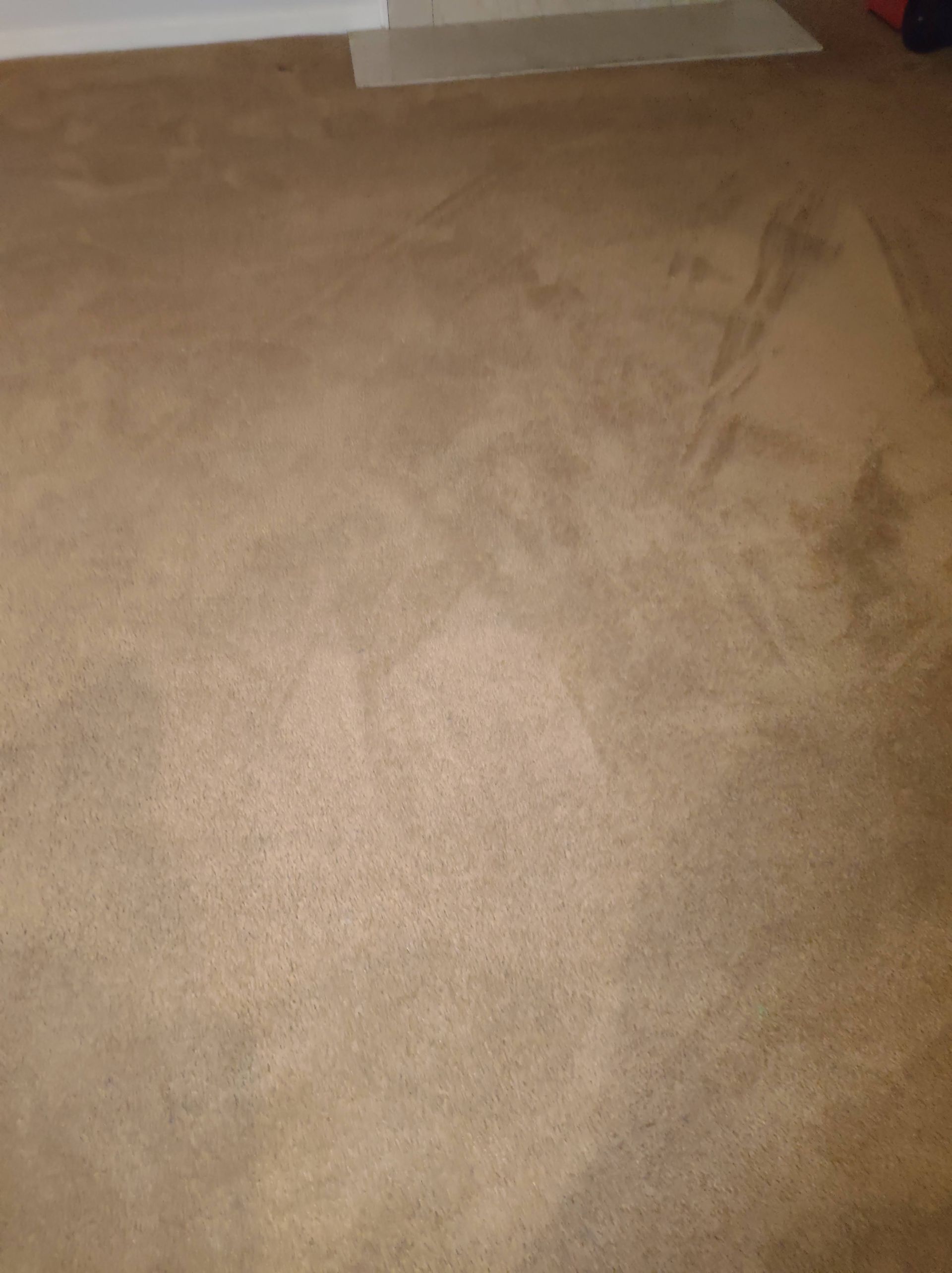 Christian Cleaning & Services, Davidson County TN, Nashville TN, Antioch Nashville TN, Madison Nashville TN, Old Hickory Nashville TN, Hermitage Nashville TN, Belle Meade Links Nashville TN, Cherokee Park Nashville TN, Green Hills Nashville TN, East Nashville Nashville TN, Goodlettsville TN, Belle Meade TN, Williamson County TN, Brentwood TN, Brentwood Hills Brentwood TN, Franklin TN, Wilson County TN, Mt Juliet TN, Sumner County TN, Hendersonville TN, Rutherford County TN, Smyrna TN, Murfreesboro TN, Scottland Acres Murfreesboro TN, La Vergne TN, Cleaning Services, Pressure Washing, Handyman, Moving Services - no more than 30 miles, HVAC & Plumbing, Home Renovations, Cleaning Company, Cleaning Company Near Me, Nashville Cleaning Company, Antioch Cleaning Company, Brentwood Cleaning Company, Franklin Cleaning Company, Mt Juliet Cleaning Company, La Vergne Cleaning Company, Murfreesboro Cleaning Company, Standard Cleaning, Residential Cleaning, House Cleaners Near Me, House Cleaning, Recurring Cleaning, Deep Cleaning, Commercial Cleaning Company, Office Cleaning, Office Cleaners Near Me, Small Area Carpet Cleaning, School Cleaning Company, Bank Cleaning Company, Decluttering Services, Organization Services, Home Organizer Near Me, Pressure Washing, Pressure Washer Near Me, Nashville Pressure Washer, Antioch Pressure Washer, Brentwood Pressure Washer, Franklin Pressure Washer, Mt Juliet Pressure Washer, La Vergne Pressure Washer, Murfreesboro Pressure Washer, Exterior House Was, Pressure Wash House, Pressure Wash Patio, Pressure Wash Driveway, Driveway Cleaning, Pressure Wash Walkway, Walkway Cleaning, Handyman, Handyman Near Me, Nashville Handyman, Antioch Handyman, Brentwood Handyman, Franklin Handyman, Mt Juliet Handyman, La Vergne Handyman, Murfreesboro Handyman, Mount TV, TV Mounting Services Near Me, Hang Ceiling Fans, Changing out Plugs, Light Switch, Moving Company, Nashville Movers, Antioch Movers, Brentwood Movers, Franklin Movers, Mt Juliet Movers, La Vergne Movers, Murfreesboro Movers, Moving Company Near Me, Movers Near Me, Moving Services, Local Moving Services, Packing Services, Unpacking Services, HVAC Contractor, HVAC Company, HVAC Company Near Me, HVAC Services Near Me, Nashville Heating and Air, Antioch Heating and Air, Brentwood Heating and Air, Franklin Heating and Air, Mt Juliet Heating and Air, La Vergne Heating and Air, Murfreesboro Heating and Air, Heating Services, Heater Installation, Heater Repair, Heating and Air Services, AC Installation, AC Repair, Ductwork Installation, Ductwork Repair, Plumbing Contractor, Plumbing Company, Plumbing Company Near Me, Plumber Near Me, Nashville Plumber, Antioch Plumber, Brentwood Plumber, Franklin Plumber, Mt Juliet Plumber, La Vergne Plumber, Murfreesboro Plumber, Plumbing Installation, Plumbing Repairs, Plumbing Services, Plumbing Services Near Me, New Plumbing Fixture Installations, Plumbing Fixture Repairs, Toilet Replacement, Toilet Installation, Toilet Repair, Washer Installation, Dryer Installation, Sink Installation, Sink Repairs, Shower Installation, Shower Repairs, Unclogging Drains, Leaky Faucets, Home Renovations, Home Renovator Near Me, Kitchen Renovations, Bathroom Renovations, Porch Replacements