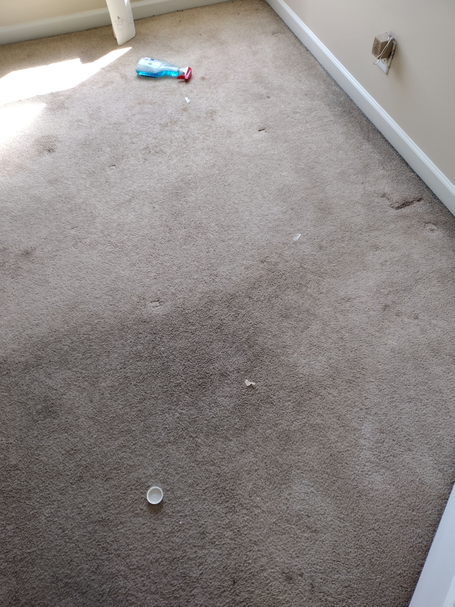 Christian Cleaning & Services, Davidson County TN, Nashville TN, Antioch Nashville TN, Madison Nashville TN, Old Hickory Nashville TN, Hermitage Nashville TN, Belle Meade Links Nashville TN, Cherokee Park Nashville TN, Green Hills Nashville TN, East Nashville Nashville TN, Goodlettsville TN, Belle Meade TN, Williamson County TN, Brentwood TN, Brentwood Hills Brentwood TN, Franklin TN, Wilson County TN, Mt Juliet TN, Sumner County TN, Hendersonville TN, Rutherford County TN, Smyrna TN, Murfreesboro TN, Scottland Acres Murfreesboro TN, La Vergne TN, Cleaning Services, Pressure Washing, Handyman, Moving Services - no more than 30 miles, HVAC & Plumbing, Home Renovations, Cleaning Company, Cleaning Company Near Me, Nashville Cleaning Company, Antioch Cleaning Company, Brentwood Cleaning Company, Franklin Cleaning Company, Mt Juliet Cleaning Company, La Vergne Cleaning Company, Murfreesboro Cleaning Company, Standard Cleaning, Residential Cleaning, House Cleaners Near Me, House Cleaning, Recurring Cleaning, Deep Cleaning, Commercial Cleaning Company, Office Cleaning, Office Cleaners Near Me, Small Area Carpet Cleaning, School Cleaning Company, Bank Cleaning Company, Decluttering Services, Organization Services, Home Organizer Near Me, Pressure Washing, Pressure Washer Near Me, Nashville Pressure Washer, Antioch Pressure Washer, Brentwood Pressure Washer, Franklin Pressure Washer, Mt Juliet Pressure Washer, La Vergne Pressure Washer, Murfreesboro Pressure Washer, Exterior House Was, Pressure Wash House, Pressure Wash Patio, Pressure Wash Driveway, Driveway Cleaning, Pressure Wash Walkway, Walkway Cleaning, Handyman, Handyman Near Me, Nashville Handyman, Antioch Handyman, Brentwood Handyman, Franklin Handyman, Mt Juliet Handyman, La Vergne Handyman, Murfreesboro Handyman, Mount TV, TV Mounting Services Near Me, Hang Ceiling Fans, Changing out Plugs, Light Switch, Moving Company, Nashville Movers, Antioch Movers, Brentwood Movers, Franklin Movers, Mt Juliet Movers, La Vergne Movers, Murfreesboro Movers, Moving Company Near Me, Movers Near Me, Moving Services, Local Moving Services, Packing Services, Unpacking Services, HVAC Contractor, HVAC Company, HVAC Company Near Me, HVAC Services Near Me, Nashville Heating and Air, Antioch Heating and Air, Brentwood Heating and Air, Franklin Heating and Air, Mt Juliet Heating and Air, La Vergne Heating and Air, Murfreesboro Heating and Air, Heating Services, Heater Installation, Heater Repair, Heating and Air Services, AC Installation, AC Repair, Ductwork Installation, Ductwork Repair, Plumbing Contractor, Plumbing Company, Plumbing Company Near Me, Plumber Near Me, Nashville Plumber, Antioch Plumber, Brentwood Plumber, Franklin Plumber, Mt Juliet Plumber, La Vergne Plumber, Murfreesboro Plumber, Plumbing Installation, Plumbing Repairs, Plumbing Services, Plumbing Services Near Me, New Plumbing Fixture Installations, Plumbing Fixture Repairs, Toilet Replacement, Toilet Installation, Toilet Repair, Washer Installation, Dryer Installation, Sink Installation, Sink Repairs, Shower Installation, Shower Repairs, Unclogging Drains, Leaky Faucets, Home Renovations, Home Renovator Near Me, Kitchen Renovations, Bathroom Renovations, Porch Replacements