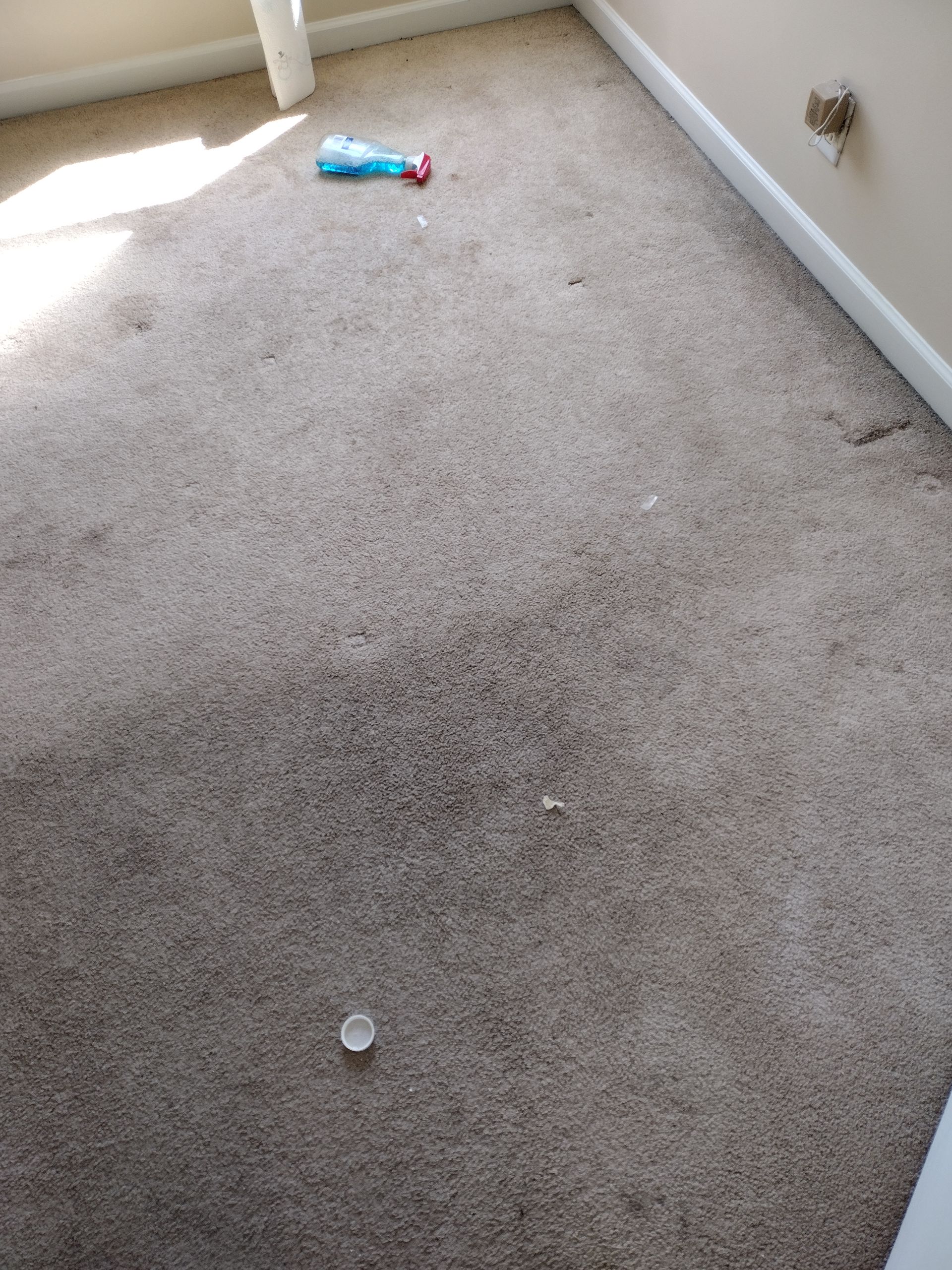 Christian Cleaning & Services, Davidson County TN, Nashville TN, Antioch Nashville TN, Madison Nashville TN, Old Hickory Nashville TN, Hermitage Nashville TN, Belle Meade Links Nashville TN, Cherokee Park Nashville TN, Green Hills Nashville TN, East Nashville Nashville TN, Goodlettsville TN, Belle Meade TN, Williamson County TN, Brentwood TN, Brentwood Hills Brentwood TN, Franklin TN, Wilson County TN, Mt Juliet TN, Sumner County TN, Hendersonville TN, Rutherford County TN, Smyrna TN, Murfreesboro TN, Scottland Acres Murfreesboro TN, La Vergne TN, Cleaning Services, Pressure Washing, Handyman, Moving Services - no more than 30 miles, HVAC & Plumbing, Home Renovations, Cleaning Company, Cleaning Company Near Me, Nashville Cleaning Company, Antioch Cleaning Company, Brentwood Cleaning Company, Franklin Cleaning Company, Mt Juliet Cleaning Company, La Vergne Cleaning Company, Murfreesboro Cleaning Company, Standard Cleaning, Residential Cleaning, House Cleaners Near Me, House Cleaning, Recurring Cleaning, Deep Cleaning, Commercial Cleaning Company, Office Cleaning, Office Cleaners Near Me, Small Area Carpet Cleaning, School Cleaning Company, Bank Cleaning Company, Decluttering Services, Organization Services, Home Organizer Near Me, Pressure Washing, Pressure Washer Near Me, Nashville Pressure Washer, Antioch Pressure Washer, Brentwood Pressure Washer, Franklin Pressure Washer, Mt Juliet Pressure Washer, La Vergne Pressure Washer, Murfreesboro Pressure Washer, Exterior House Was, Pressure Wash House, Pressure Wash Patio, Pressure Wash Driveway, Driveway Cleaning, Pressure Wash Walkway, Walkway Cleaning, Handyman, Handyman Near Me, Nashville Handyman, Antioch Handyman, Brentwood Handyman, Franklin Handyman, Mt Juliet Handyman, La Vergne Handyman, Murfreesboro Handyman, Mount TV, TV Mounting Services Near Me, Hang Ceiling Fans, Changing out Plugs, Light Switch, Moving Company, Nashville Movers, Antioch Movers, Brentwood Movers, Franklin Movers, Mt Juliet Movers, La Vergne Movers, Murfreesboro Movers, Moving Company Near Me, Movers Near Me, Moving Services, Local Moving Services, Packing Services, Unpacking Services, HVAC Contractor, HVAC Company, HVAC Company Near Me, HVAC Services Near Me, Nashville Heating and Air, Antioch Heating and Air, Brentwood Heating and Air, Franklin Heating and Air, Mt Juliet Heating and Air, La Vergne Heating and Air, Murfreesboro Heating and Air, Heating Services, Heater Installation, Heater Repair, Heating and Air Services, AC Installation, AC Repair, Ductwork Installation, Ductwork Repair, Plumbing Contractor, Plumbing Company, Plumbing Company Near Me, Plumber Near Me, Nashville Plumber, Antioch Plumber, Brentwood Plumber, Franklin Plumber, Mt Juliet Plumber, La Vergne Plumber, Murfreesboro Plumber, Plumbing Installation, Plumbing Repairs, Plumbing Services, Plumbing Services Near Me, New Plumbing Fixture Installations, Plumbing Fixture Repairs, Toilet Replacement, Toilet Installation, Toilet Repair, Washer Installation, Dryer Installation, Sink Installation, Sink Repairs, Shower Installation, Shower Repairs, Unclogging Drains, Leaky Faucets, Home Renovations, Home Renovator Near Me, Kitchen Renovations, Bathroom Renovations, Porch Replacements