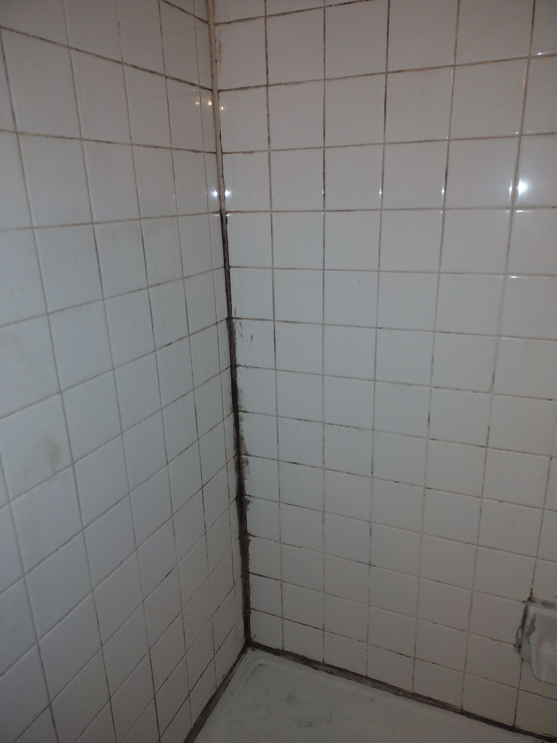 Christian Cleaning & Services, Davidson County TN, Nashville TN, Antioch Nashville TN, Madison Nashville TN, Old Hickory Nashville TN, Hermitage Nashville TN, Belle Meade Links Nashville TN, Cherokee Park Nashville TN, Green Hills Nashville TN, East Nashville Nashville TN, Goodlettsville TN, Belle Meade TN, Williamson County TN, Brentwood TN, Brentwood Hills Brentwood TN, Franklin TN, Wilson County TN, Mt Juliet TN, Sumner County TN, Hendersonville TN, Rutherford County TN, Smyrna TN, Murfreesboro TN, Scottland Acres Murfreesboro TN, La Vergne TN, Cleaning Services, Pressure Washing, Handyman, Moving Services - no more than 30 miles, HVAC & Plumbing, Home Renovations, Cleaning Company, Cleaning Company Near Me, Nashville Cleaning Company, Antioch Cleaning Company, Brentwood Cleaning Company, Franklin Cleaning Company, Mt Juliet Cleaning Company, La Vergne Cleaning Company, Murfreesboro Cleaning Company, Standard Cleaning, Residential Cleaning, House Cleaners Near Me, House Cleaning, Recurring Cleaning, Deep Cleaning, Commercial Cleaning Company, Office Cleaning, Office Cleaners Near Me, Small Area Carpet Cleaning, School Cleaning Company, Bank Cleaning Company, Decluttering Services, Organization Services, Home Organizer Near Me, Pressure Washing, Pressure Washer Near Me, Nashville Pressure Washer, Antioch Pressure Washer, Brentwood Pressure Washer, Franklin Pressure Washer, Mt Juliet Pressure Washer, La Vergne Pressure Washer, Murfreesboro Pressure Washer, Exterior House Was, Pressure Wash House, Pressure Wash Patio, Pressure Wash Driveway, Driveway Cleaning, Pressure Wash Walkway, Walkway Cleaning, Handyman, Handyman Near Me, Nashville Handyman, Antioch Handyman, Brentwood Handyman, Franklin Handyman, Mt Juliet Handyman, La Vergne Handyman, Murfreesboro Handyman, Mount TV, TV Mounting Services Near Me, Hang Ceiling Fans, Changing out Plugs, Light Switch, Moving Company, Nashville Movers, Antioch Movers, Brentwood Movers, Franklin Movers, Mt Juliet Movers, La Vergne Movers, Murfreesboro Movers, Moving Company Near Me, Movers Near Me, Moving Services, Local Moving Services, Packing Services, Unpacking Services, HVAC Contractor, HVAC Company, HVAC Company Near Me, HVAC Services Near Me, Nashville Heating and Air, Antioch Heating and Air, Brentwood Heating and Air, Franklin Heating and Air, Mt Juliet Heating and Air, La Vergne Heating and Air, Murfreesboro Heating and Air, Heating Services, Heater Installation, Heater Repair, Heating and Air Services, AC Installation, AC Repair, Ductwork Installation, Ductwork Repair, Plumbing Contractor, Plumbing Company, Plumbing Company Near Me, Plumber Near Me, Nashville Plumber, Antioch Plumber, Brentwood Plumber, Franklin Plumber, Mt Juliet Plumber, La Vergne Plumber, Murfreesboro Plumber, Plumbing Installation, Plumbing Repairs, Plumbing Services, Plumbing Services Near Me, New Plumbing Fixture Installations, Plumbing Fixture Repairs, Toilet Replacement, Toilet Installation, Toilet Repair, Washer Installation, Dryer Installation, Sink Installation, Sink Repairs, Shower Installation, Shower Repairs, Unclogging Drains, Leaky Faucets, Home Renovations, Home Renovator Near Me, Kitchen Renovations, Bathroom Renovations, Porch Replacements