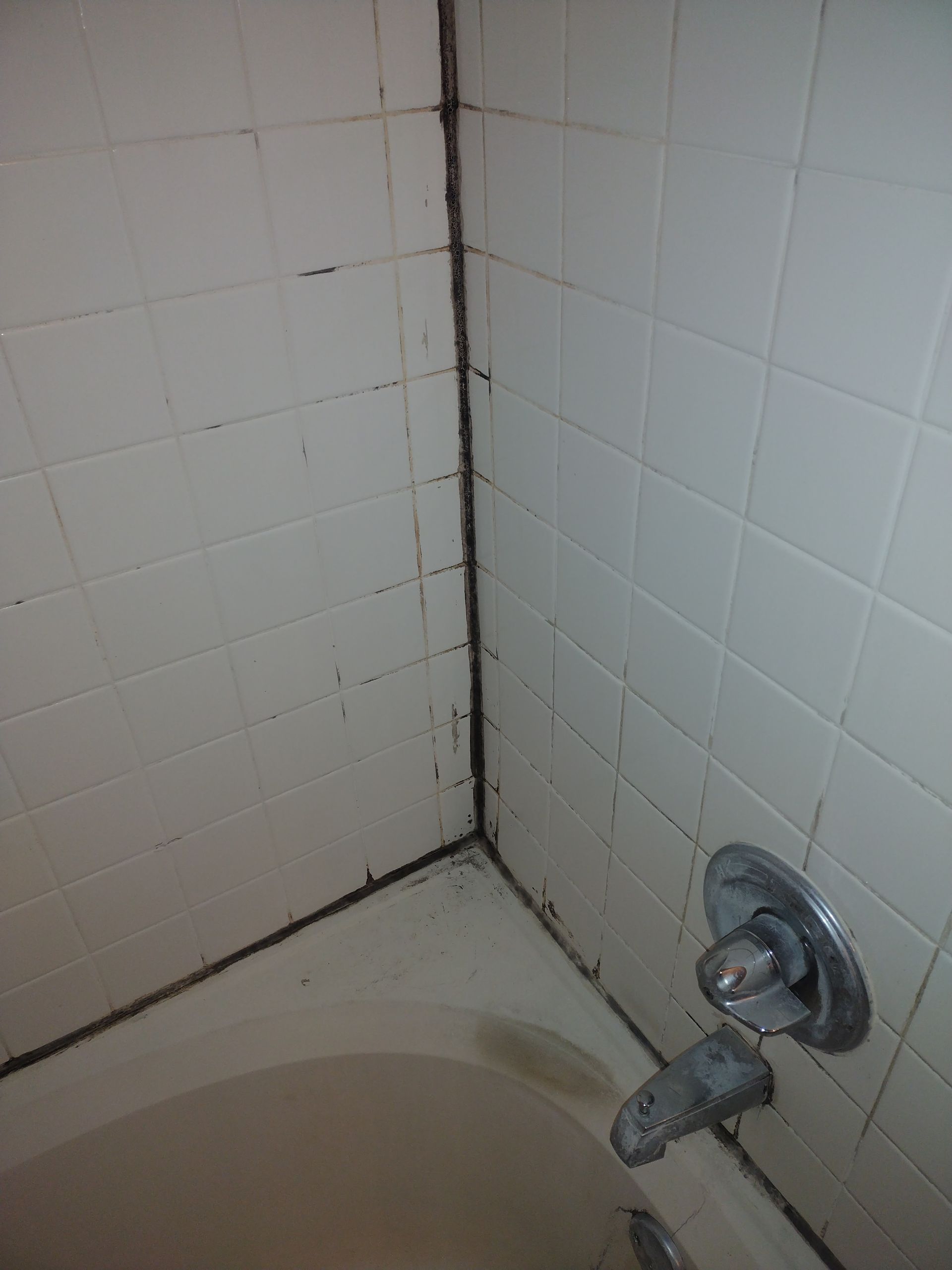 Christian Cleaning & Services, Davidson County TN, Nashville TN, Antioch Nashville TN, Madison Nashville TN, Old Hickory Nashville TN, Hermitage Nashville TN, Belle Meade Links Nashville TN, Cherokee Park Nashville TN, Green Hills Nashville TN, East Nashville Nashville TN, Goodlettsville TN, Belle Meade TN, Williamson County TN, Brentwood TN, Brentwood Hills Brentwood TN, Franklin TN, Wilson County TN, Mt Juliet TN, Sumner County TN, Hendersonville TN, Rutherford County TN, Smyrna TN, Murfreesboro TN, Scottland Acres Murfreesboro TN, La Vergne TN, Cleaning Services, Pressure Washing, Handyman, Moving Services - no more than 30 miles, HVAC & Plumbing, Home Renovations, Cleaning Company, Cleaning Company Near Me, Nashville Cleaning Company, Antioch Cleaning Company, Brentwood Cleaning Company, Franklin Cleaning Company, Mt Juliet Cleaning Company, La Vergne Cleaning Company, Murfreesboro Cleaning Company, Standard Cleaning, Residential Cleaning, House Cleaners Near Me, House Cleaning, Recurring Cleaning, Deep Cleaning, Commercial Cleaning Company, Office Cleaning, Office Cleaners Near Me, Small Area Carpet Cleaning, School Cleaning Company, Bank Cleaning Company, Decluttering Services, Organization Services, Home Organizer Near Me, Pressure Washing, Pressure Washer Near Me, Nashville Pressure Washer, Antioch Pressure Washer, Brentwood Pressure Washer, Franklin Pressure Washer, Mt Juliet Pressure Washer, La Vergne Pressure Washer, Murfreesboro Pressure Washer, Exterior House Was, Pressure Wash House, Pressure Wash Patio, Pressure Wash Driveway, Driveway Cleaning, Pressure Wash Walkway, Walkway Cleaning, Handyman, Handyman Near Me, Nashville Handyman, Antioch Handyman, Brentwood Handyman, Franklin Handyman, Mt Juliet Handyman, La Vergne Handyman, Murfreesboro Handyman, Mount TV, TV Mounting Services Near Me, Hang Ceiling Fans, Changing out Plugs, Light Switch, Moving Company, Nashville Movers, Antioch Movers, Brentwood Movers, Franklin Movers, Mt Juliet Movers, La Vergne Movers, Murfreesboro Movers, Moving Company Near Me, Movers Near Me, Moving Services, Local Moving Services, Packing Services, Unpacking Services, HVAC Contractor, HVAC Company, HVAC Company Near Me, HVAC Services Near Me, Nashville Heating and Air, Antioch Heating and Air, Brentwood Heating and Air, Franklin Heating and Air, Mt Juliet Heating and Air, La Vergne Heating and Air, Murfreesboro Heating and Air, Heating Services, Heater Installation, Heater Repair, Heating and Air Services, AC Installation, AC Repair, Ductwork Installation, Ductwork Repair, Plumbing Contractor, Plumbing Company, Plumbing Company Near Me, Plumber Near Me, Nashville Plumber, Antioch Plumber, Brentwood Plumber, Franklin Plumber, Mt Juliet Plumber, La Vergne Plumber, Murfreesboro Plumber, Plumbing Installation, Plumbing Repairs, Plumbing Services, Plumbing Services Near Me, New Plumbing Fixture Installations, Plumbing Fixture Repairs, Toilet Replacement, Toilet Installation, Toilet Repair, Washer Installation, Dryer Installation, Sink Installation, Sink Repairs, Shower Installation, Shower Repairs, Unclogging Drains, Leaky Faucets, Home Renovations, Home Renovator Near Me, Kitchen Renovations, Bathroom Renovations, Porch Replacements