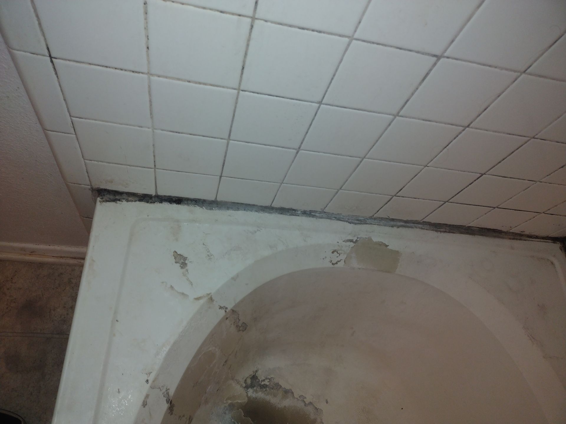 Christian Cleaning & Services, Davidson County TN, Nashville TN, Antioch Nashville TN, Madison Nashville TN, Old Hickory Nashville TN, Hermitage Nashville TN, Belle Meade Links Nashville TN, Cherokee Park Nashville TN, Green Hills Nashville TN, East Nashville Nashville TN, Goodlettsville TN, Belle Meade TN, Williamson County TN, Brentwood TN, Brentwood Hills Brentwood TN, Franklin TN, Wilson County TN, Mt Juliet TN, Sumner County TN, Hendersonville TN, Rutherford County TN, Smyrna TN, Murfreesboro TN, Scottland Acres Murfreesboro TN, La Vergne TN, Cleaning Services, Pressure Washing, Handyman, Moving Services - no more than 30 miles, HVAC & Plumbing, Home Renovations, Cleaning Company, Cleaning Company Near Me, Nashville Cleaning Company, Antioch Cleaning Company, Brentwood Cleaning Company, Franklin Cleaning Company, Mt Juliet Cleaning Company, La Vergne Cleaning Company, Murfreesboro Cleaning Company, Standard Cleaning, Residential Cleaning, House Cleaners Near Me, House Cleaning, Recurring Cleaning, Deep Cleaning, Commercial Cleaning Company, Office Cleaning, Office Cleaners Near Me, Small Area Carpet Cleaning, School Cleaning Company, Bank Cleaning Company, Decluttering Services, Organization Services, Home Organizer Near Me, Pressure Washing, Pressure Washer Near Me, Nashville Pressure Washer, Antioch Pressure Washer, Brentwood Pressure Washer, Franklin Pressure Washer, Mt Juliet Pressure Washer, La Vergne Pressure Washer, Murfreesboro Pressure Washer, Exterior House Was, Pressure Wash House, Pressure Wash Patio, Pressure Wash Driveway, Driveway Cleaning, Pressure Wash Walkway, Walkway Cleaning, Handyman, Handyman Near Me, Nashville Handyman, Antioch Handyman, Brentwood Handyman, Franklin Handyman, Mt Juliet Handyman, La Vergne Handyman, Murfreesboro Handyman, Mount TV, TV Mounting Services Near Me, Hang Ceiling Fans, Changing out Plugs, Light Switch, Moving Company, Nashville Movers, Antioch Movers, Brentwood Movers, Franklin Movers, Mt Juliet Movers, La Vergne Movers, Murfreesboro Movers, Moving Company Near Me, Movers Near Me, Moving Services, Local Moving Services, Packing Services, Unpacking Services, HVAC Contractor, HVAC Company, HVAC Company Near Me, HVAC Services Near Me, Nashville Heating and Air, Antioch Heating and Air, Brentwood Heating and Air, Franklin Heating and Air, Mt Juliet Heating and Air, La Vergne Heating and Air, Murfreesboro Heating and Air, Heating Services, Heater Installation, Heater Repair, Heating and Air Services, AC Installation, AC Repair, Ductwork Installation, Ductwork Repair, Plumbing Contractor, Plumbing Company, Plumbing Company Near Me, Plumber Near Me, Nashville Plumber, Antioch Plumber, Brentwood Plumber, Franklin Plumber, Mt Juliet Plumber, La Vergne Plumber, Murfreesboro Plumber, Plumbing Installation, Plumbing Repairs, Plumbing Services, Plumbing Services Near Me, New Plumbing Fixture Installations, Plumbing Fixture Repairs, Toilet Replacement, Toilet Installation, Toilet Repair, Washer Installation, Dryer Installation, Sink Installation, Sink Repairs, Shower Installation, Shower Repairs, Unclogging Drains, Leaky Faucets, Home Renovations, Home Renovator Near Me, Kitchen Renovations, Bathroom Renovations, Porch Replacements