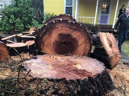 A large tree stump is sitting in front of a yellow house.