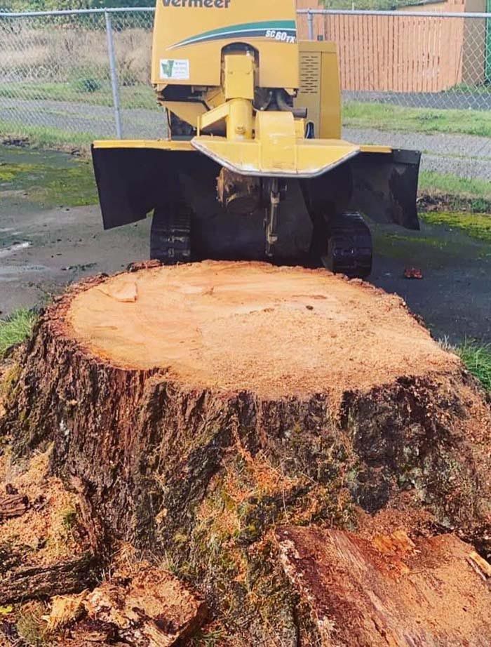 A large tree stump is being removed by a machine.