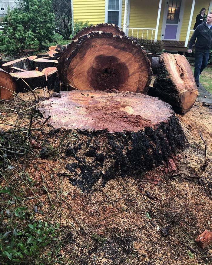 A large tree stump is sitting in front of a yellow house.